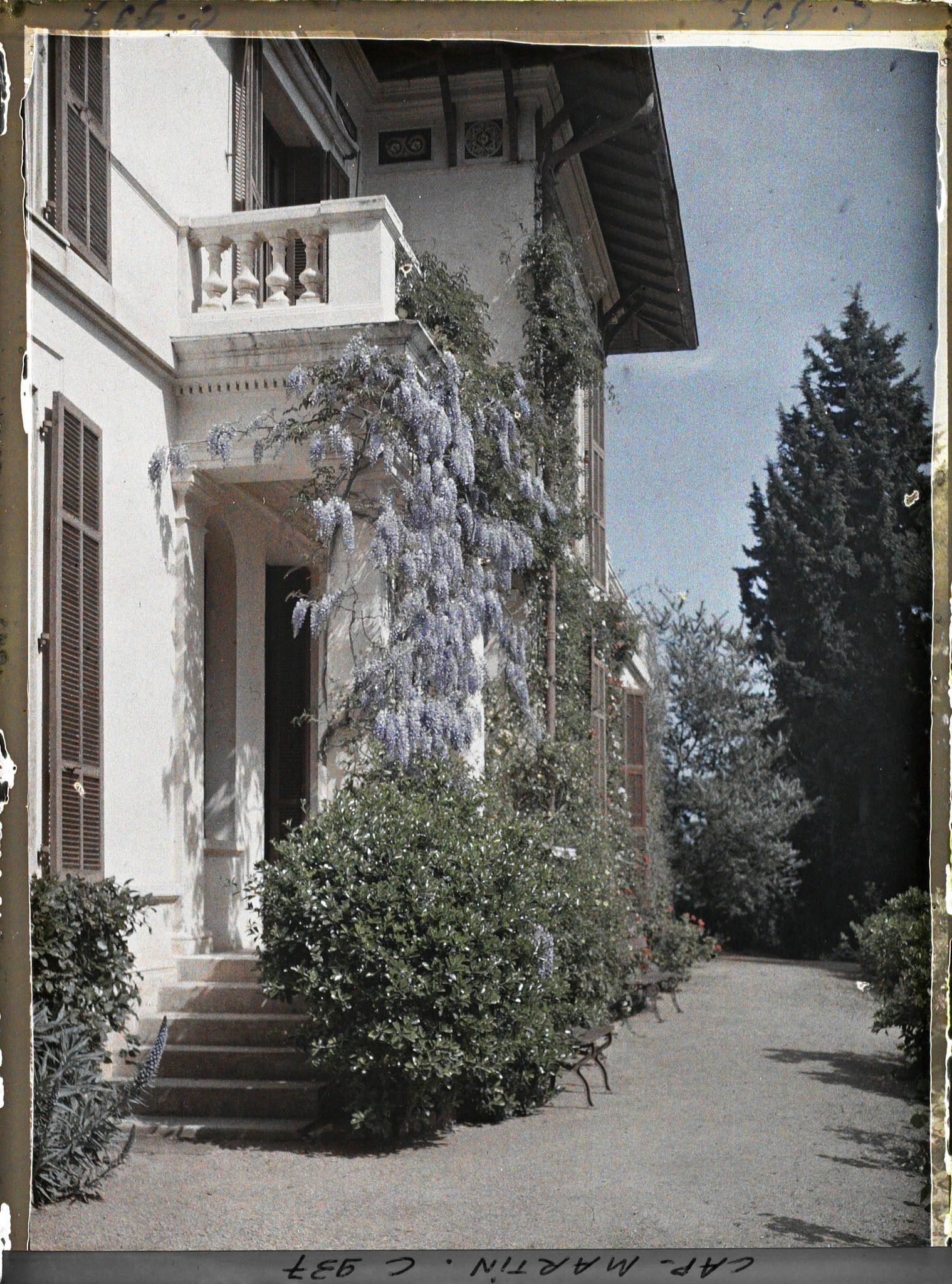 Image représentant Le perron de la villa Miramar et avec la glycine