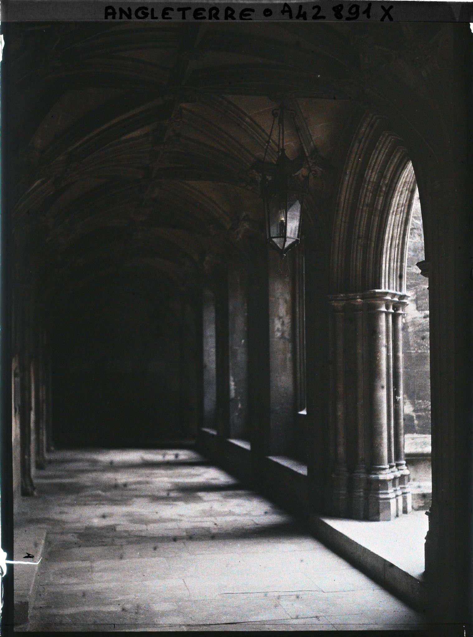 Image représentant Allée sud du cloître de Christ Church