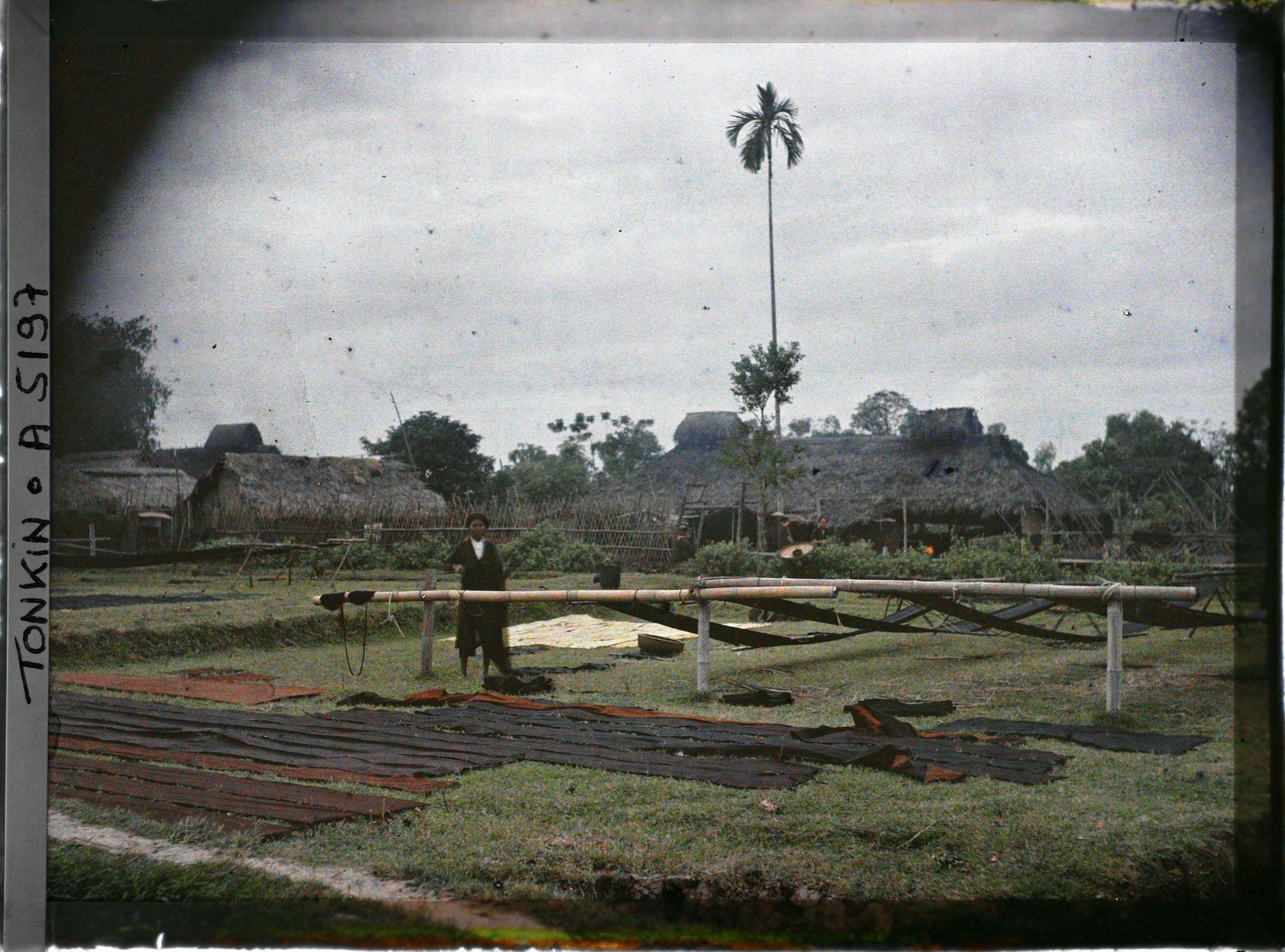Image représentant Une teinturerie en plein air dans un village