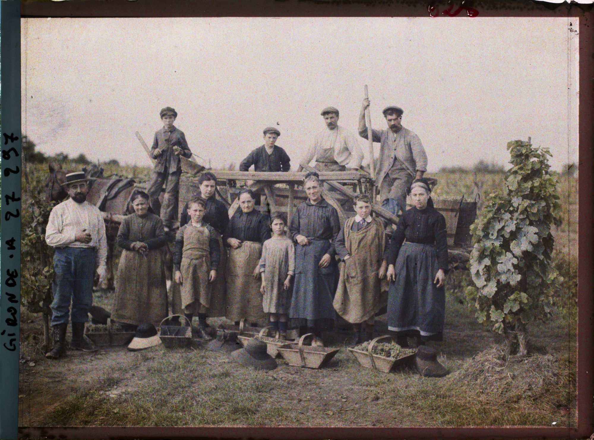 Image représentant St Emilion, Groupe de Vendangeurs