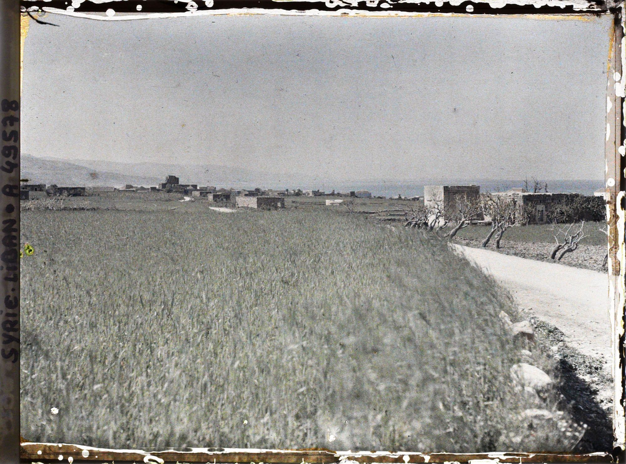 Image représentant Jbail vue de la route de Tripoli au nord
