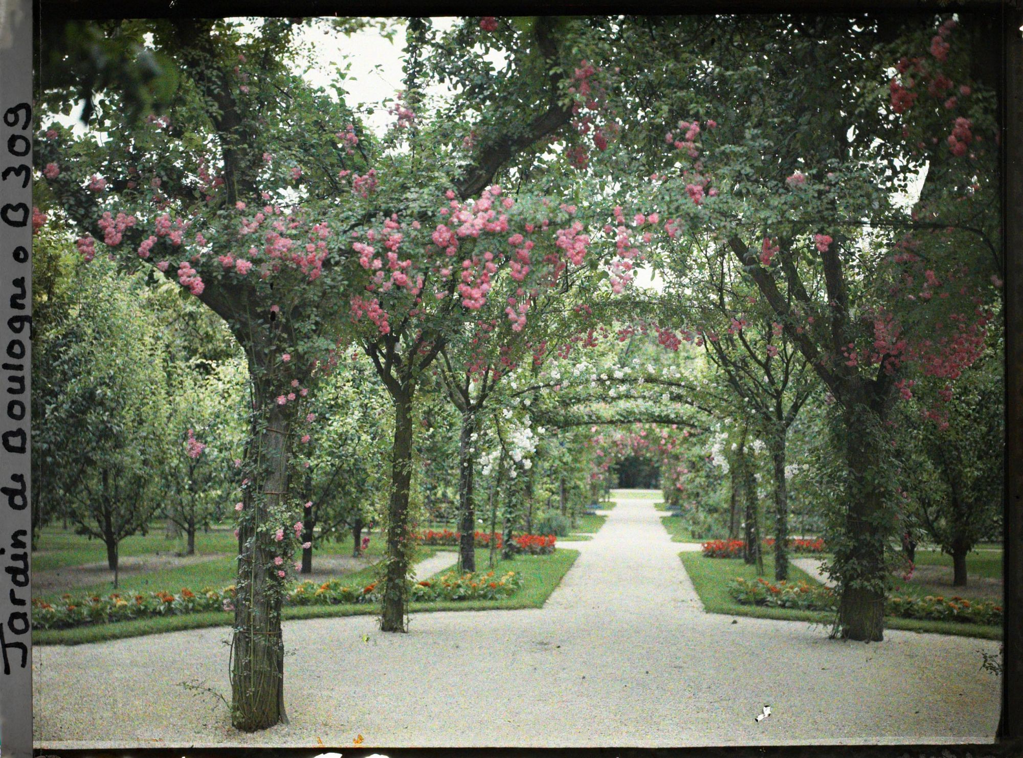 Image représentant Axe central du verger-roseraie vu en direction du jardin anglais depuis le rond-point côté dépendance