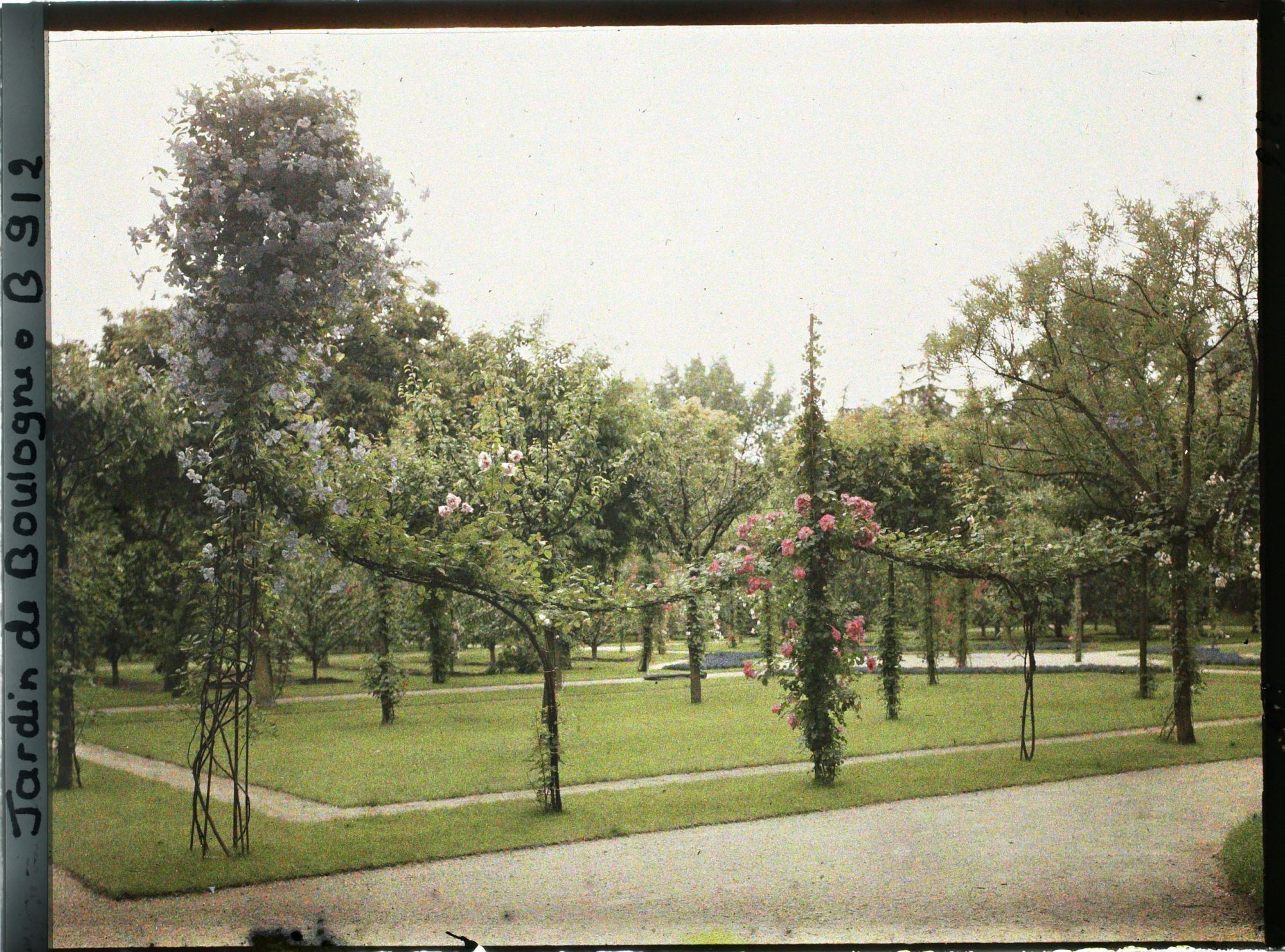 Image représentant Le verger-roseraie vu à proximité de la dépendance, depuis l'angle nord-ouest