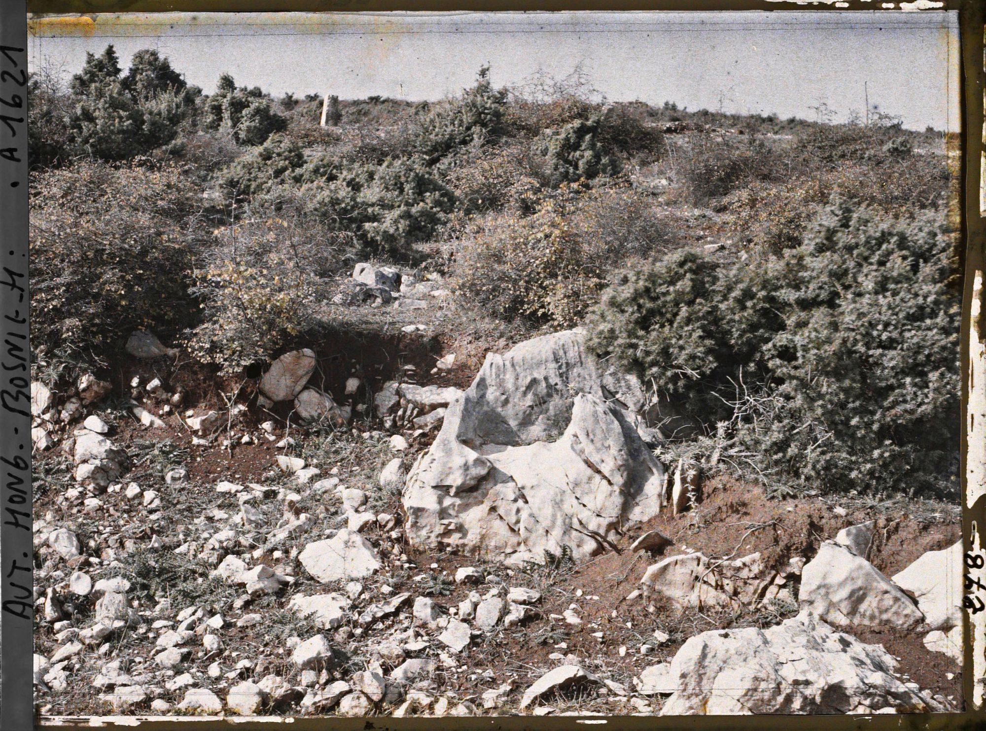 Image représentant La steppe calcaire à genévriers avec un autre buisson épineux et feuillu