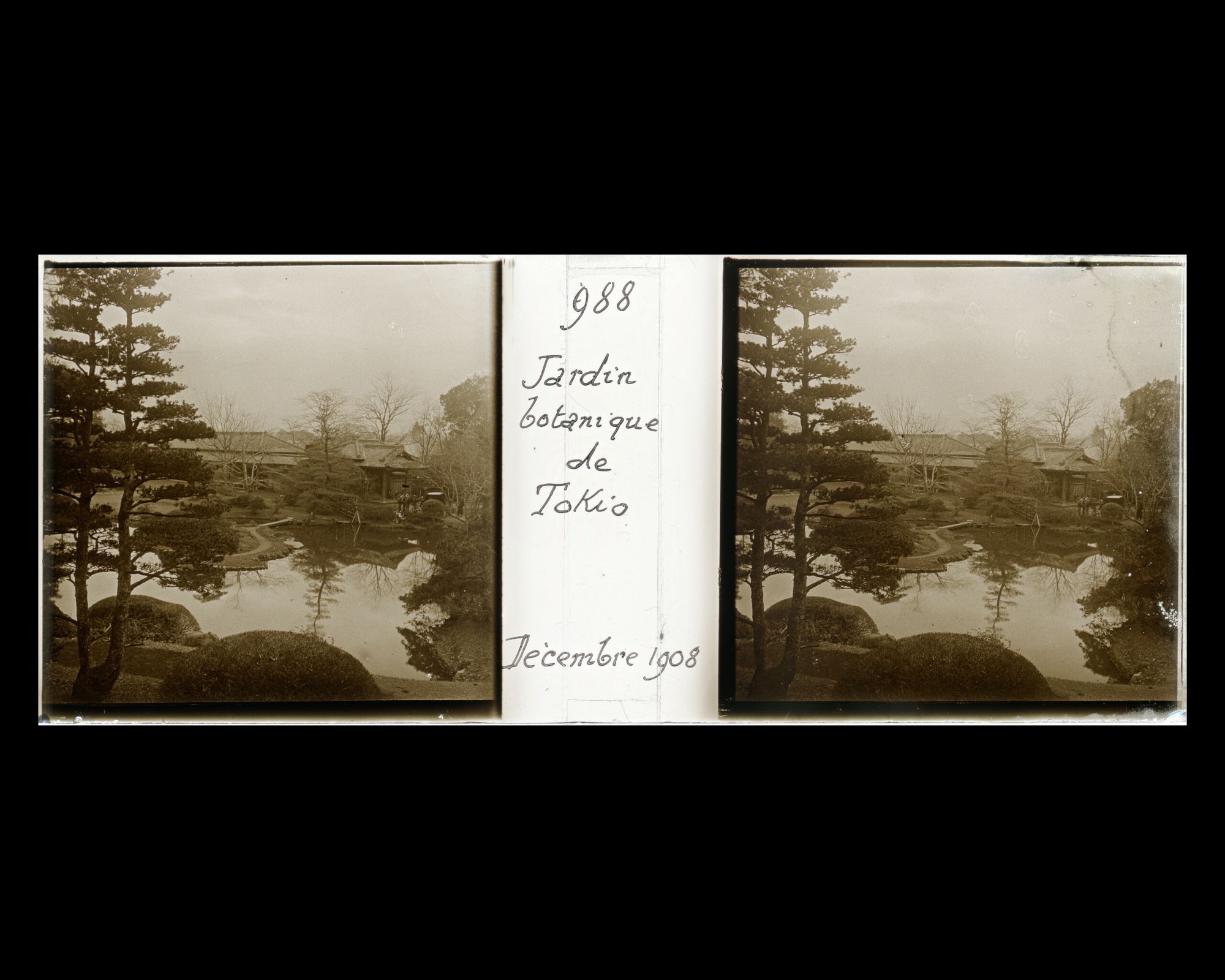 Image représentant Le jardin botanique de l'Université impériale de Tokyo