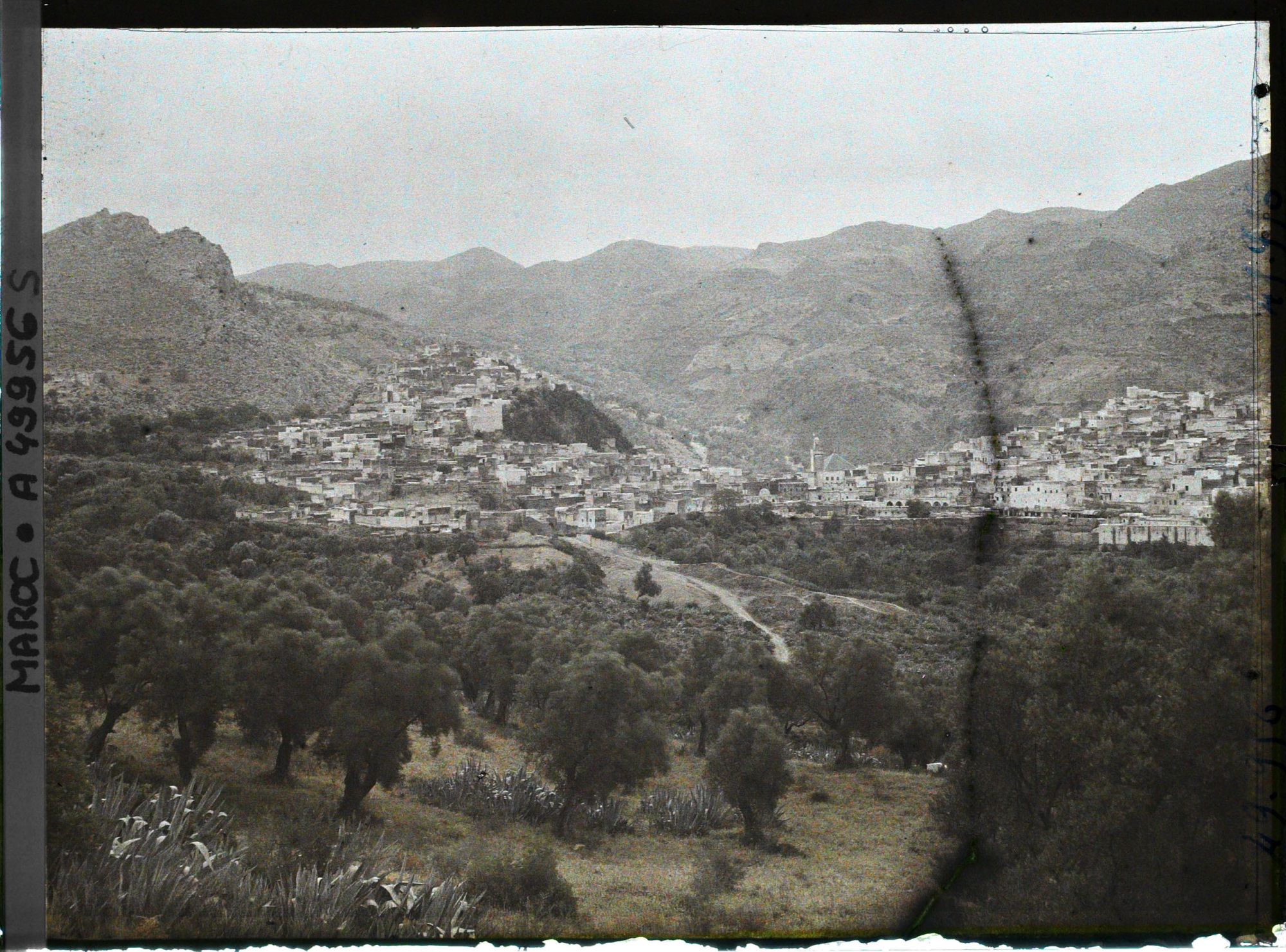 Image représentant Vue générale