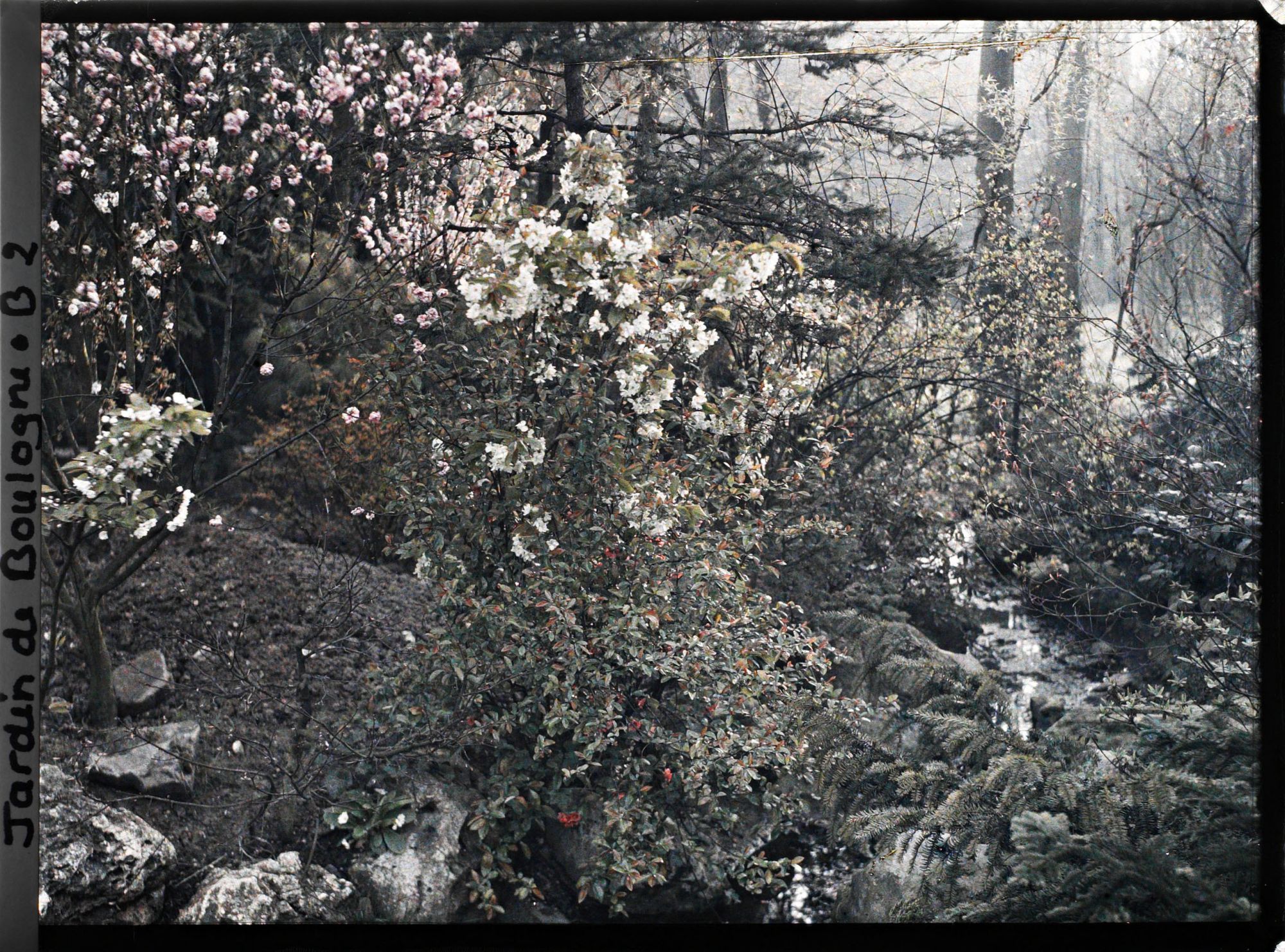 Image représentant Rocaille fleurie bordant le ruisseau du " village japonais " proche du jardin anglais