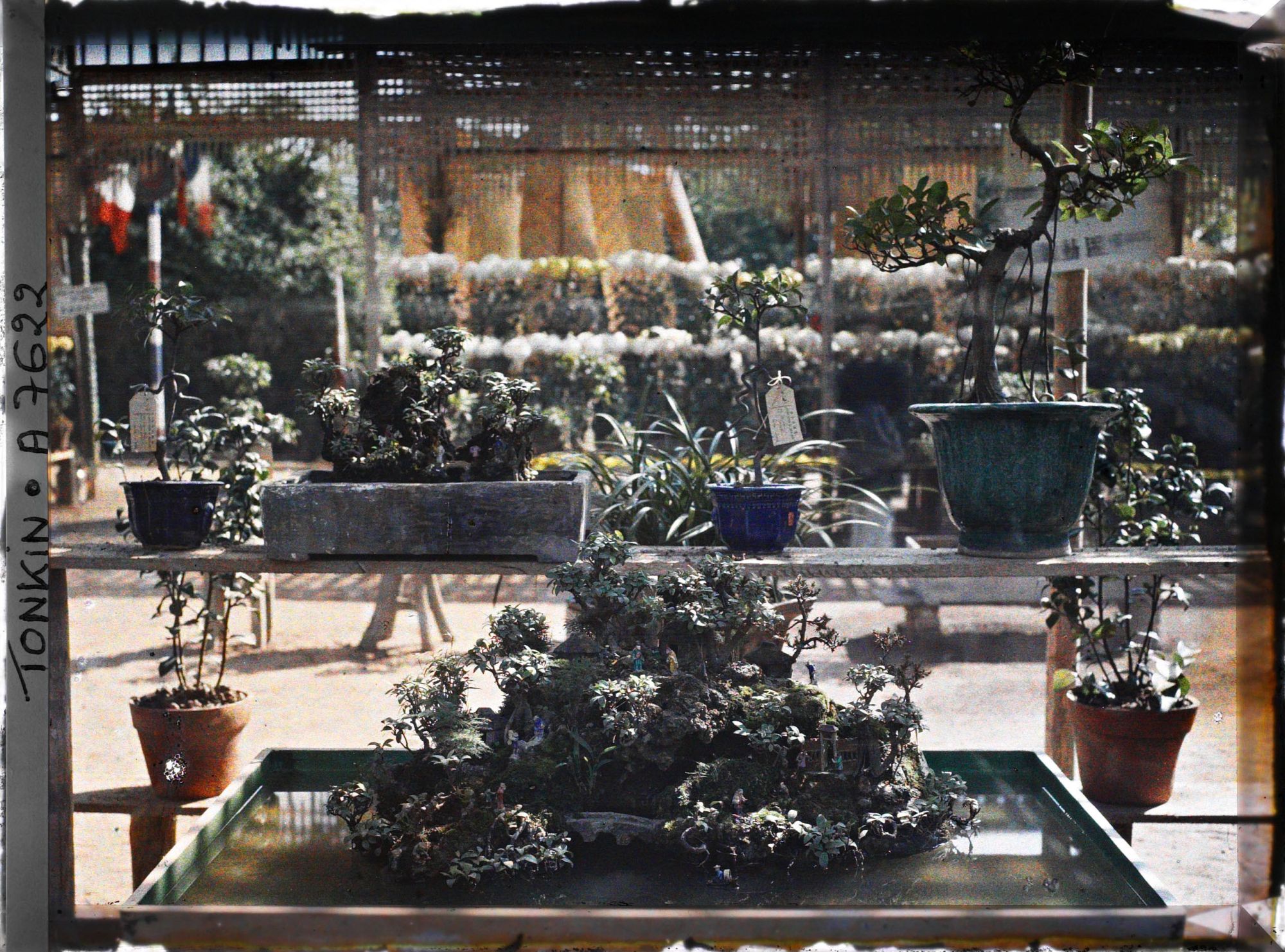 Image représentant Une exposition florale