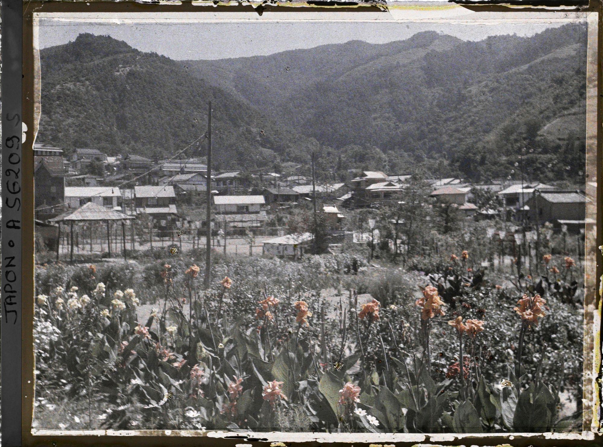 Image représentant Panorama sur le village depuis une pépinière ou un jardin