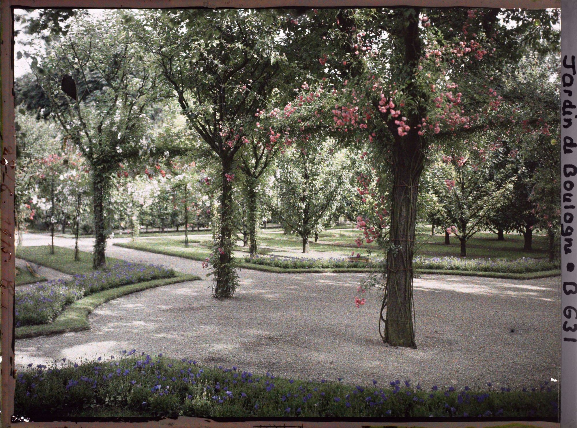 Image représentant IF7982_B000631.jpg