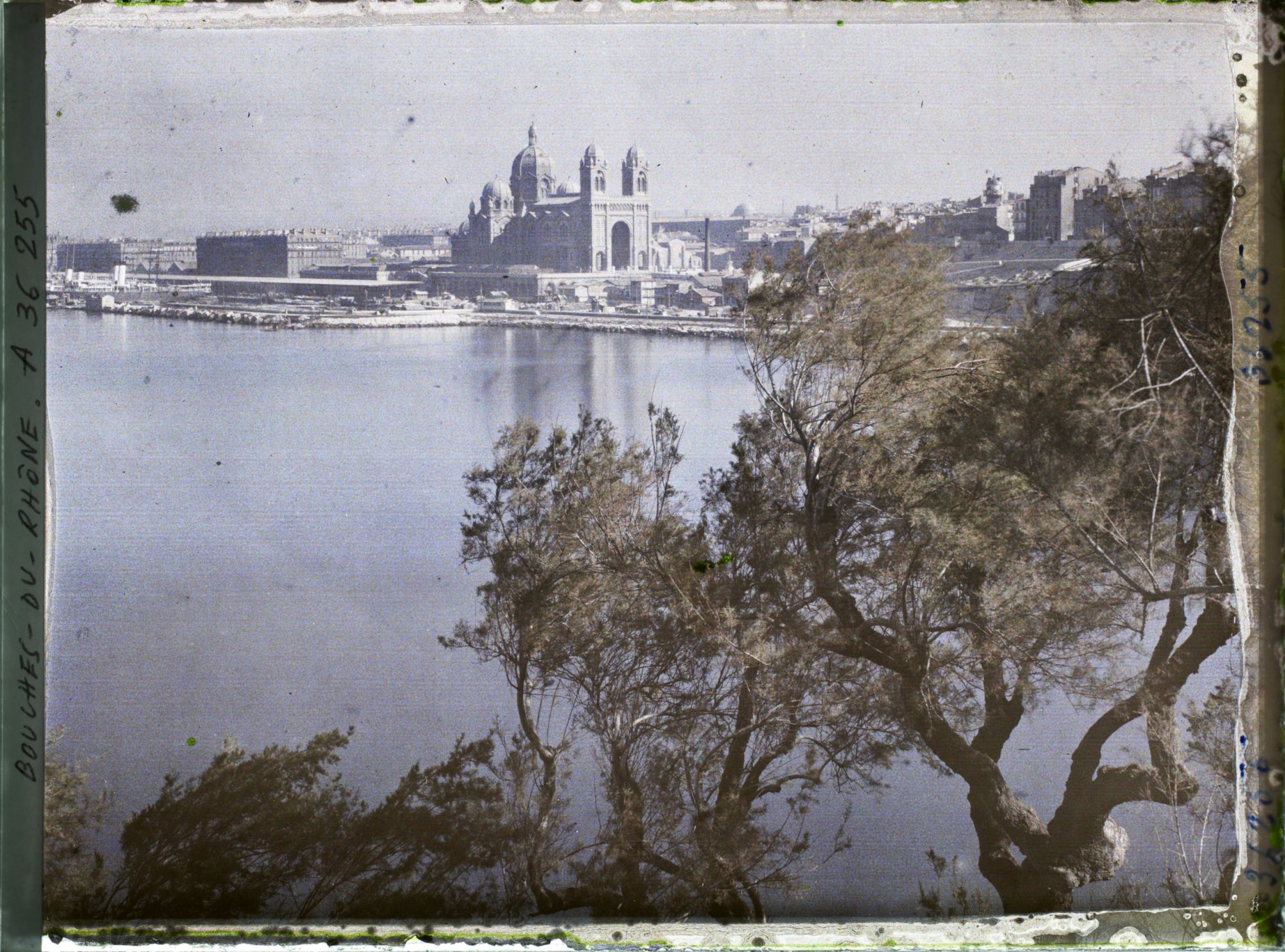 Image représentant La cathédrale Sainte-Marie-Majeure depuis l'actuelle digue Saint-Jean