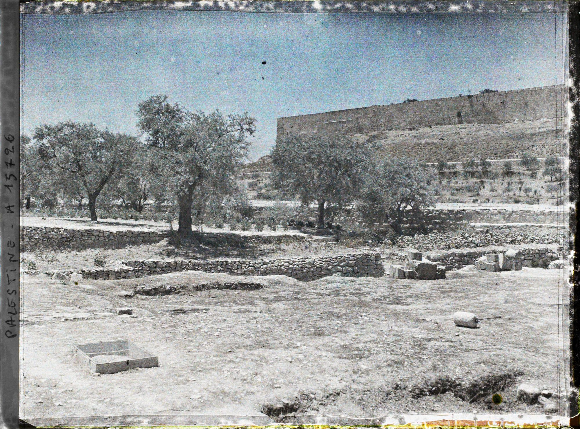 Image représentant Jardin de Gethsémani, au pied du Mont des Oliviers, lieu de l'agonie et de l'arrestation de Jésus