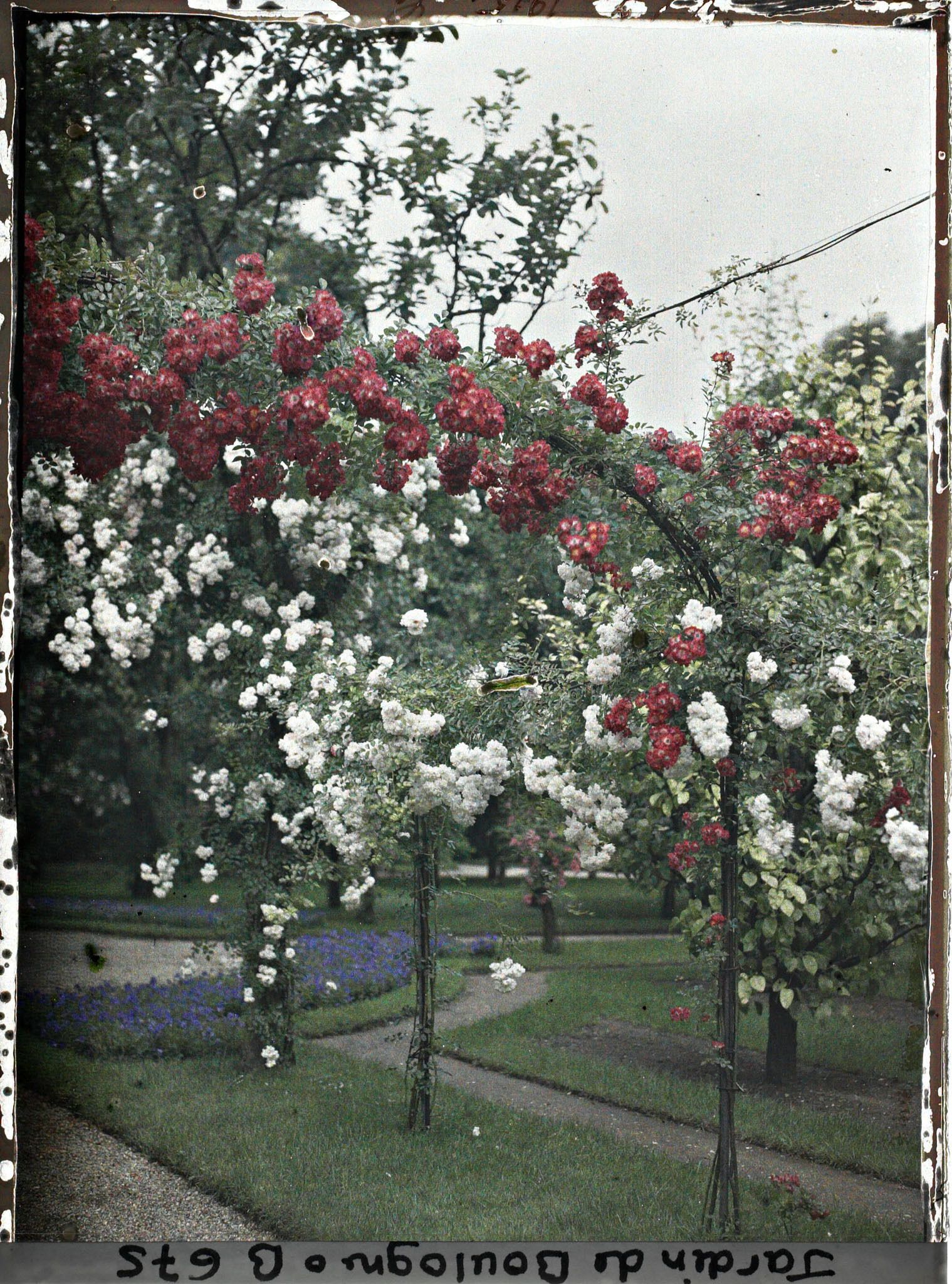 Image représentant IF8027_B000675.jpg