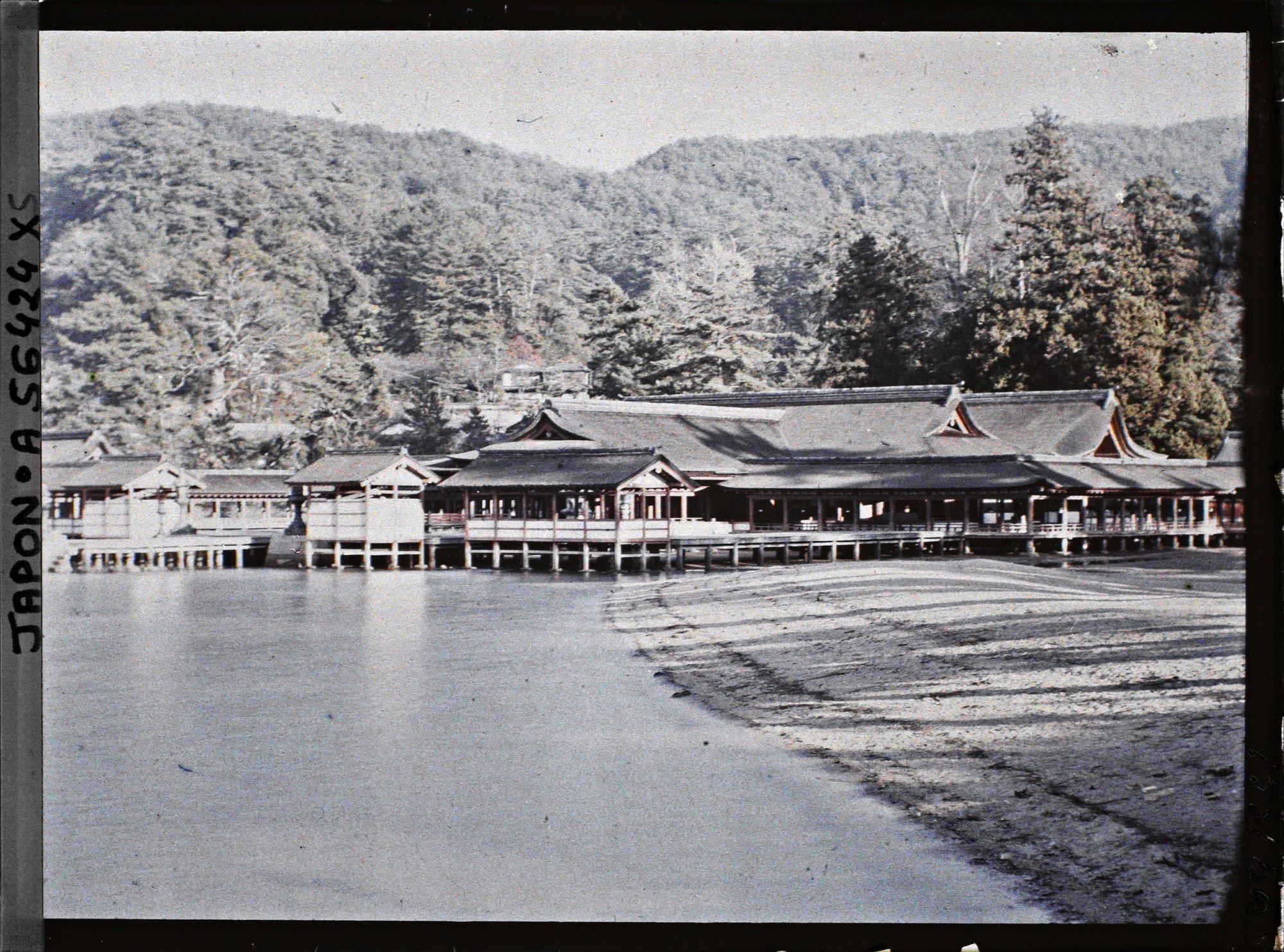 Image représentant Vue générale de l'Itsukushima-jinja