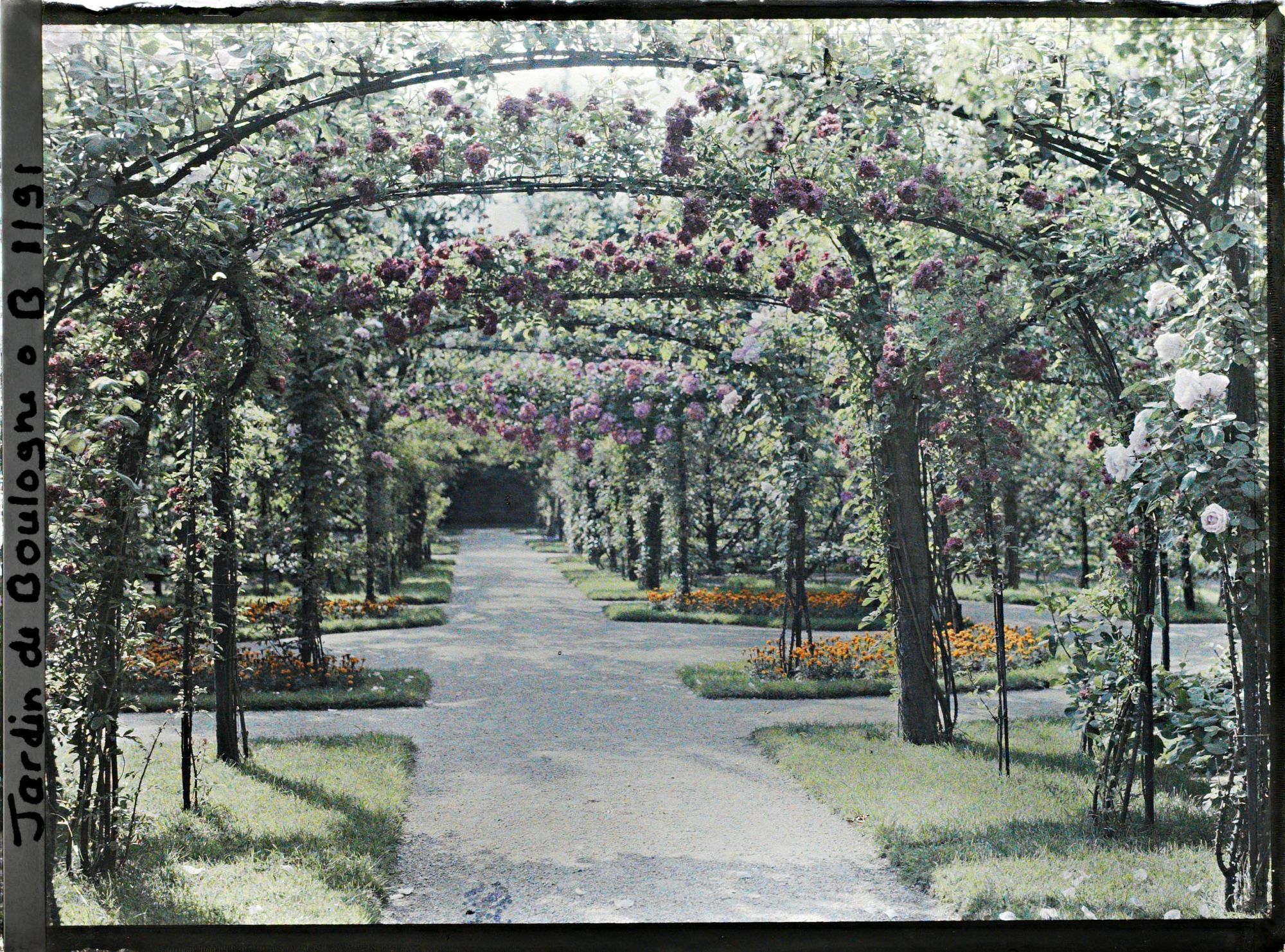 Image représentant Axe central du verger-roseraie vu en direction de la dépendance, à proximité du jardin français