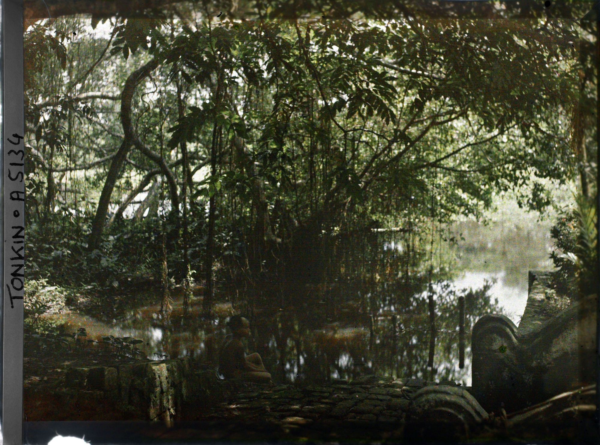 Image représentant Le bassin de la cour intérieur et la végétation environnante du temple de Linh-lang