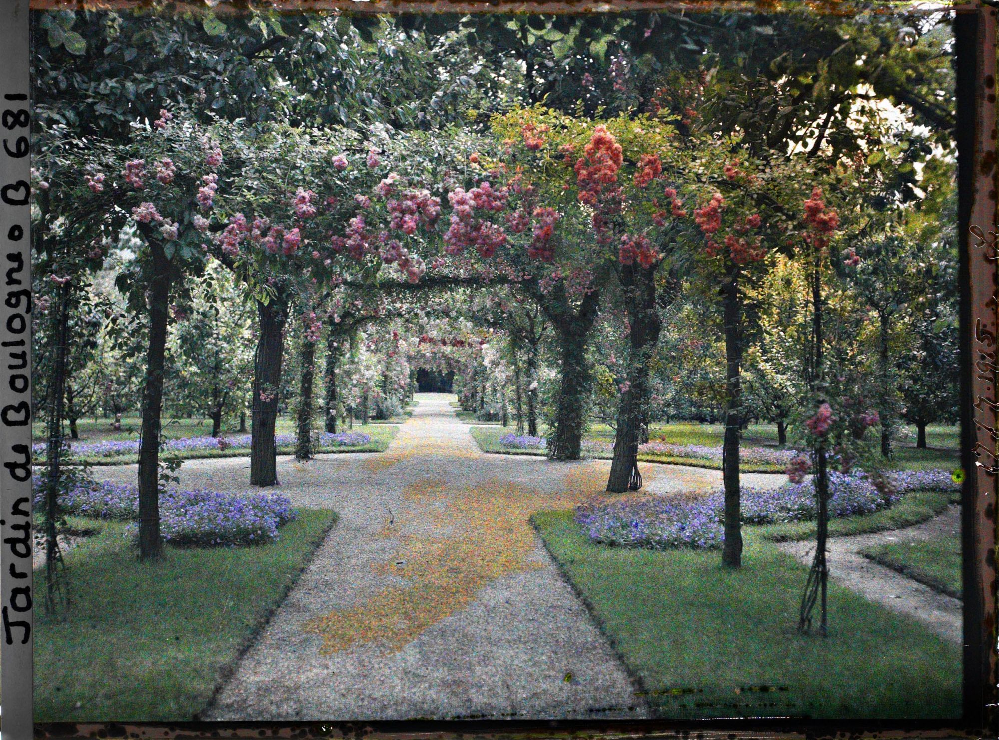 Image représentant Axe central du verger-roseraie vu en direction du jardin anglais, près du rond-point côté dépendance