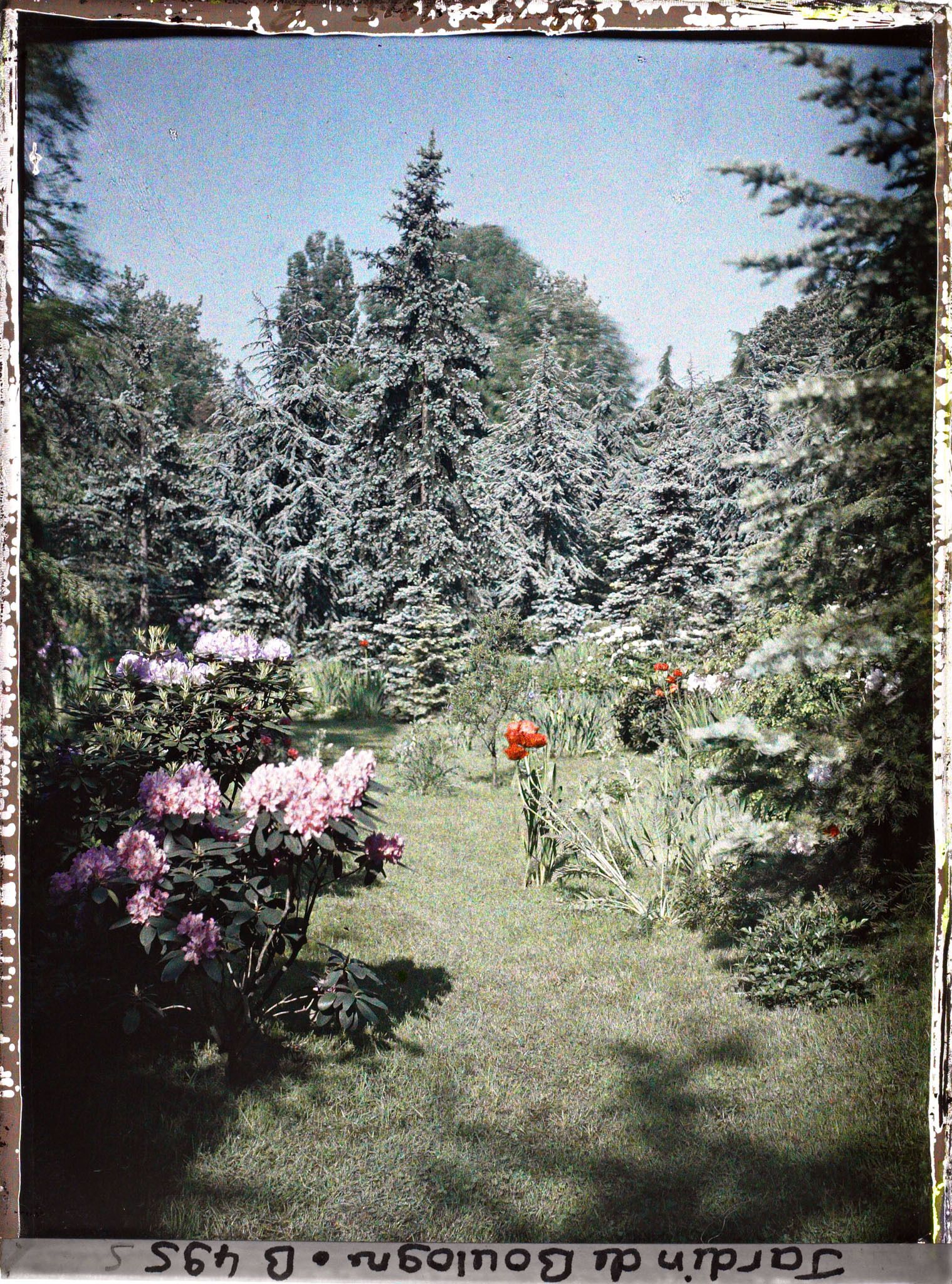 Image représentant IF7845_B000495.jpg