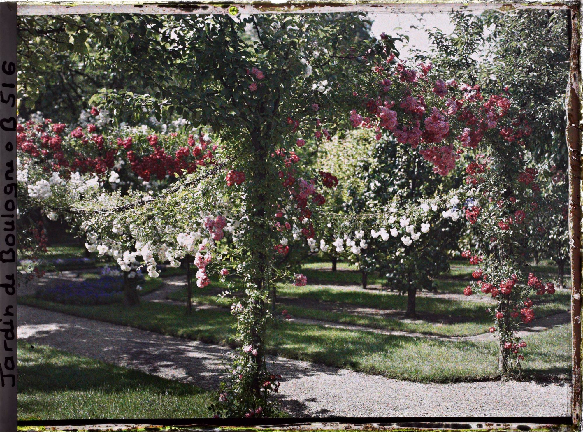 Image représentant IF7866_B000516.jpg