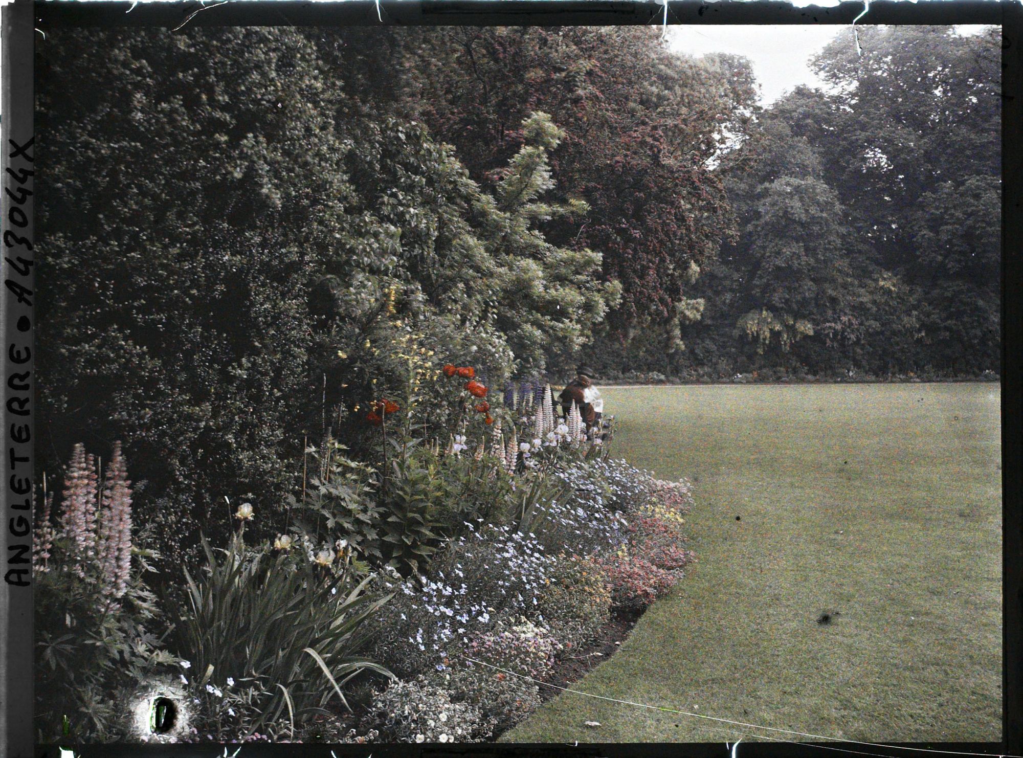 Image représentant Un coin de la pelouse du Saint John's College