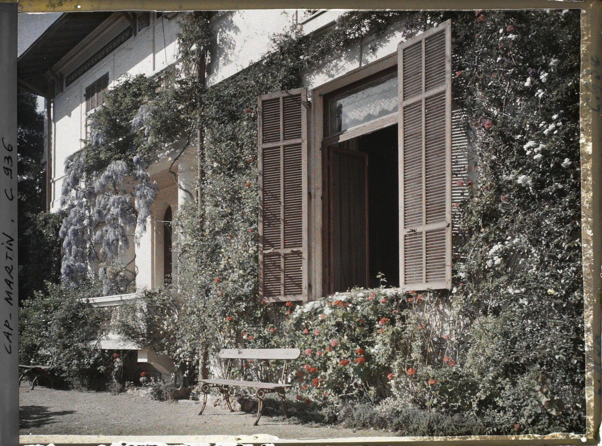 Image représentant La villa Miramar et sa glycine