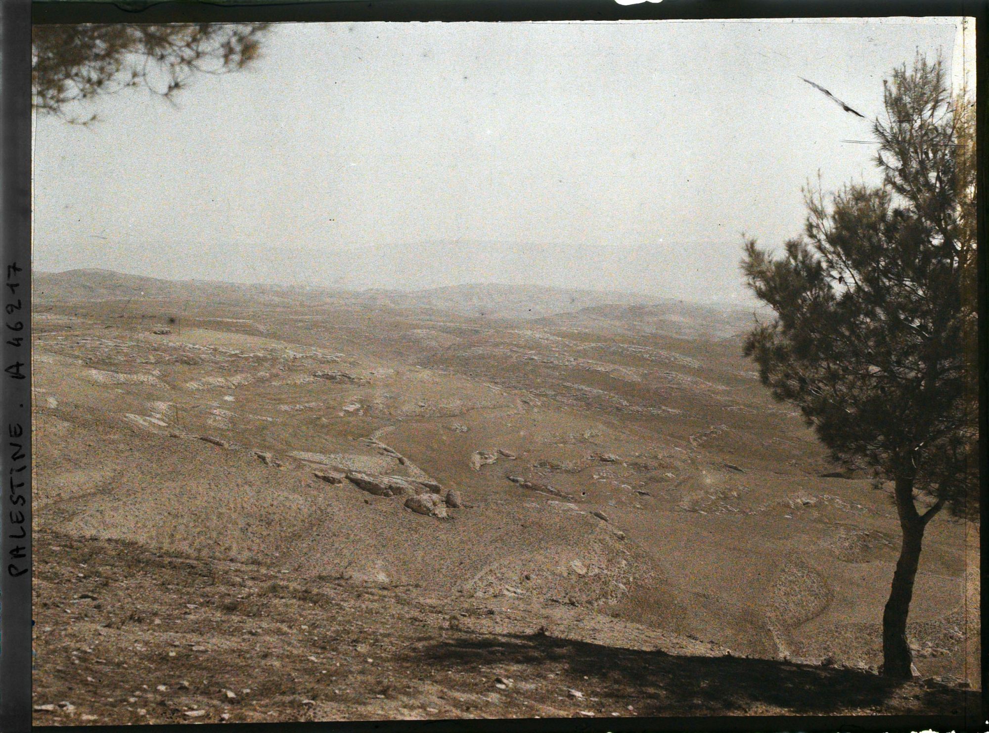 Image représentant Panorama depuis le Mont Scopus