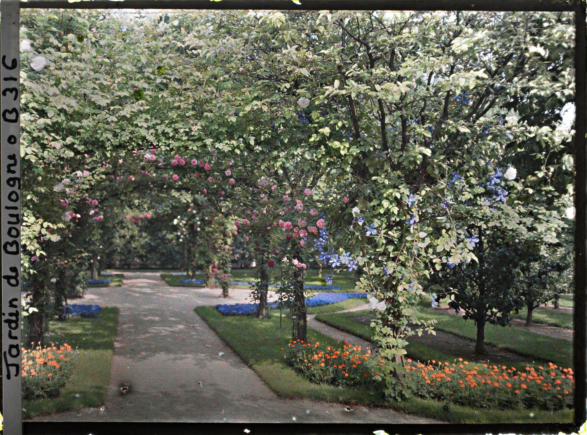 Image représentant Axe central du verger-roseraie vu depuis le second carrefour avant la dépendance