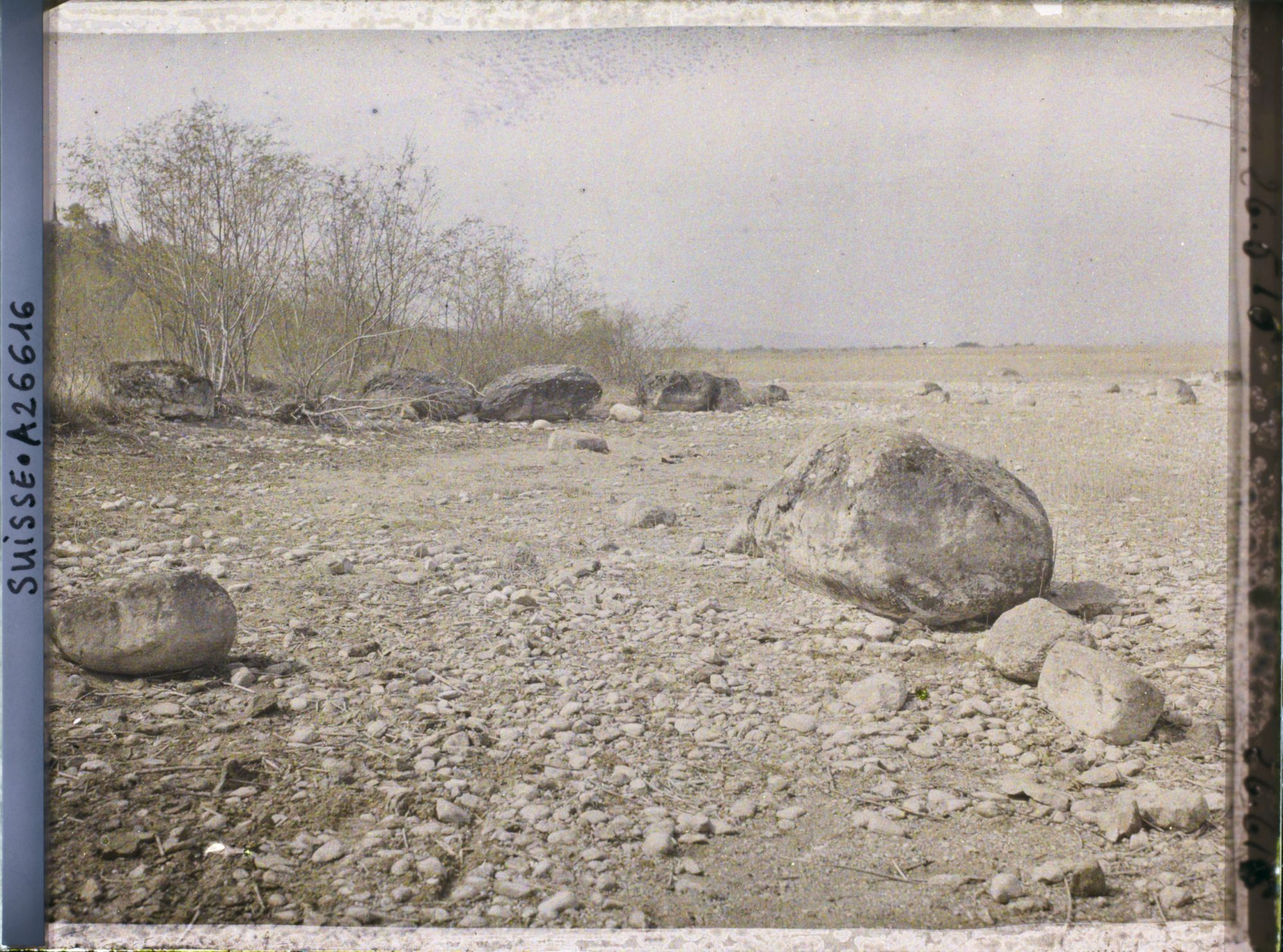 Image représentant Site palafittique préhistorique des Alpes, pieux en bois visibles lors de la baisse des eaux après la grande sécheresse de 1921 sur le lac de Neuchâtel