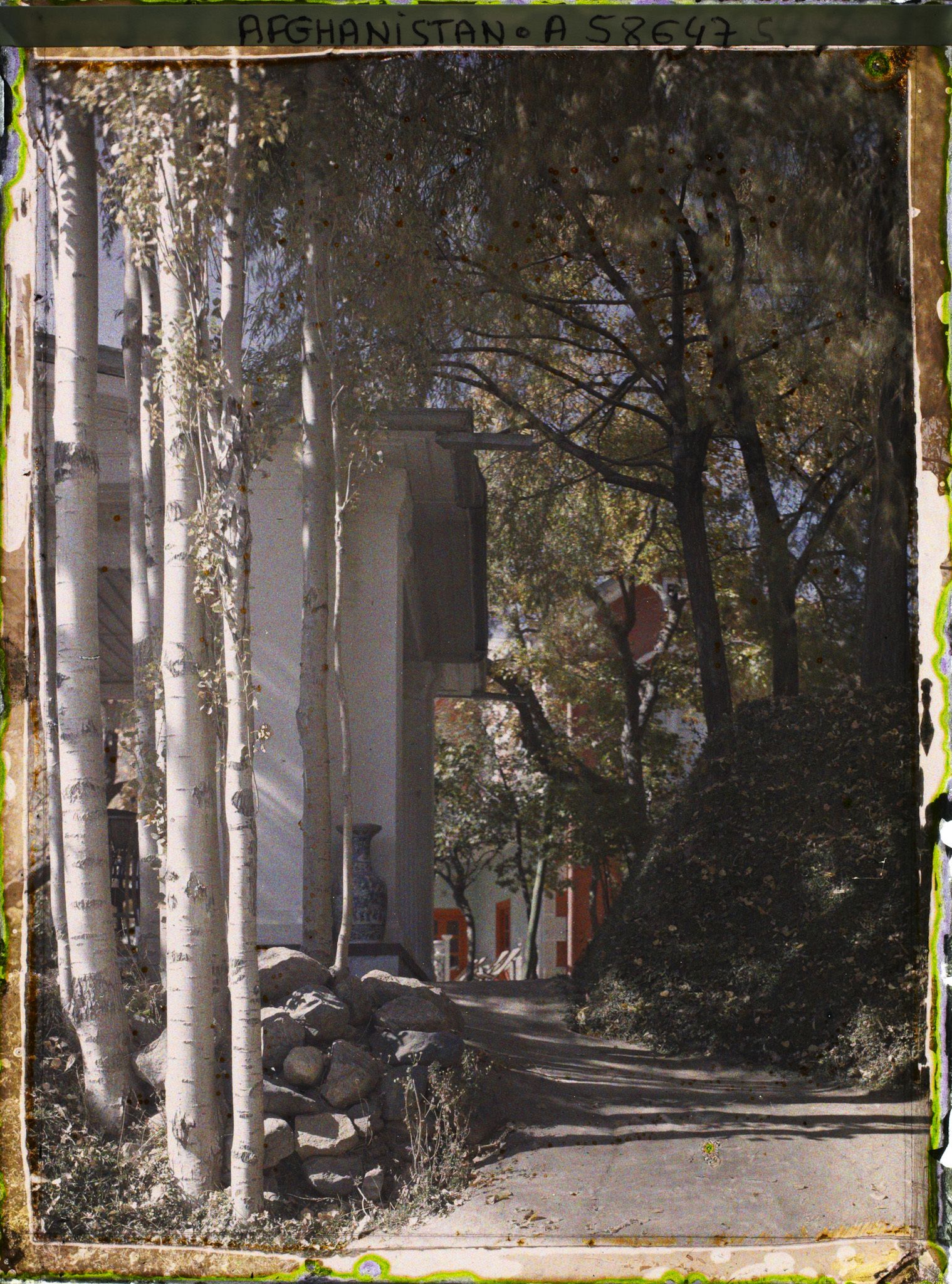 Image représentant Dans le Jardin du Palais royal (Bâlâ Bâgh, "jardin d'en haut"), allée