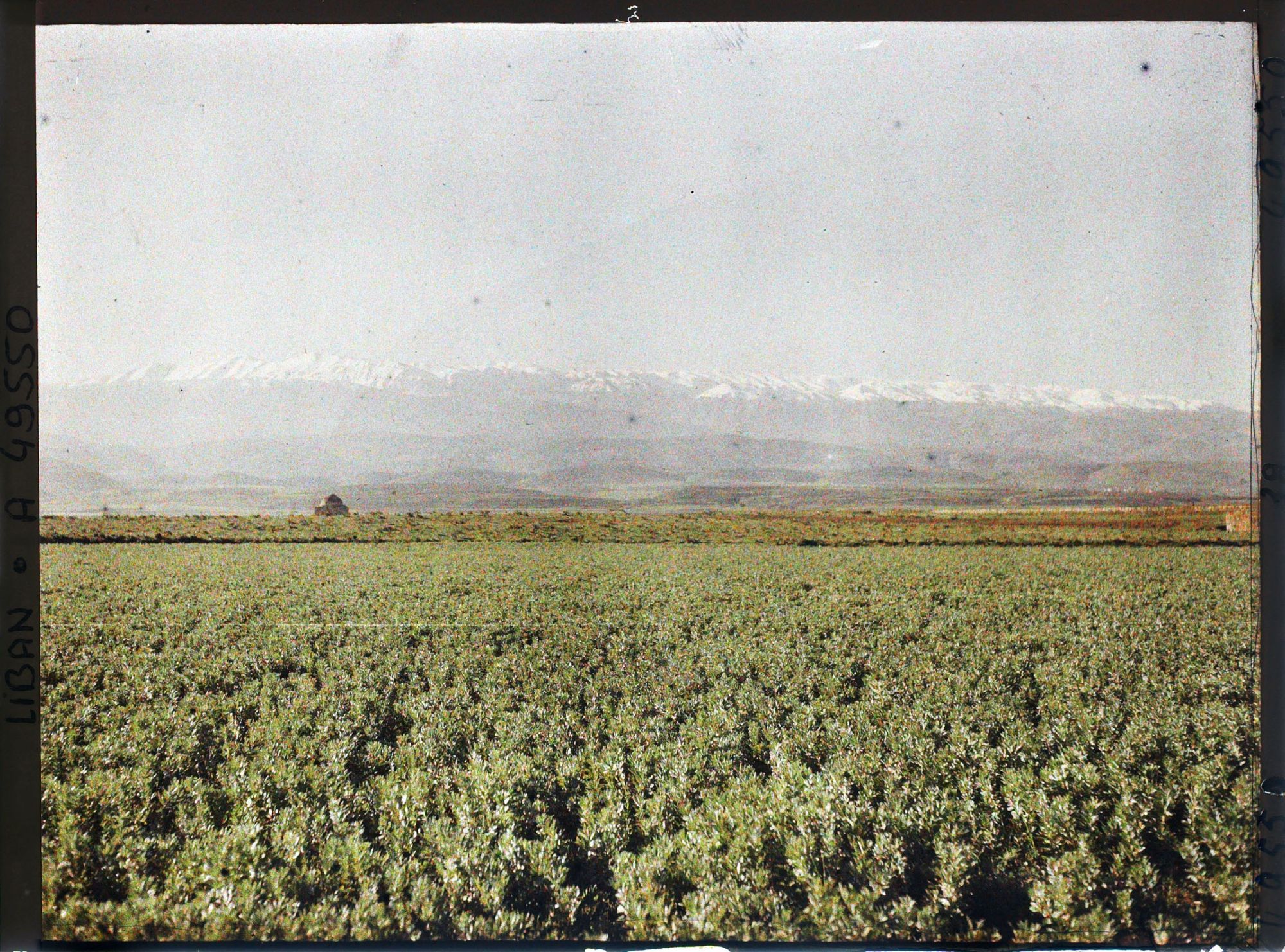 Image représentant Vue vers la chaîne du Mont Liban