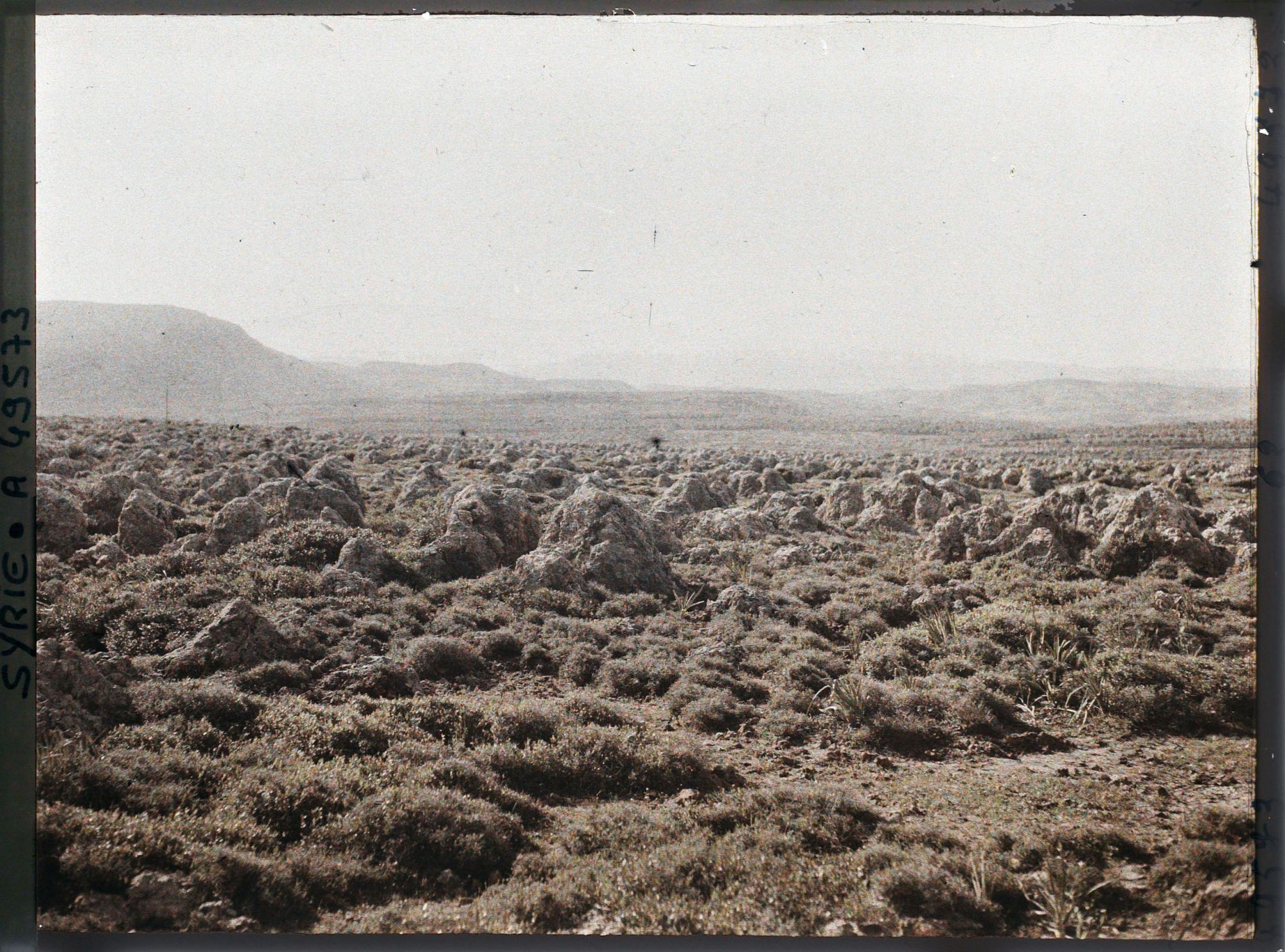 Image représentant Paysage non loin d'Enfé ou Chekka