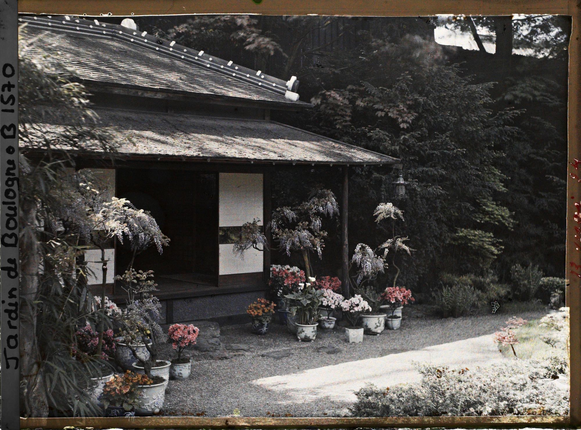 Image représentant Maison est du " village japonais ", ornée de glycines, azalées et autres plantes en pots fleuries