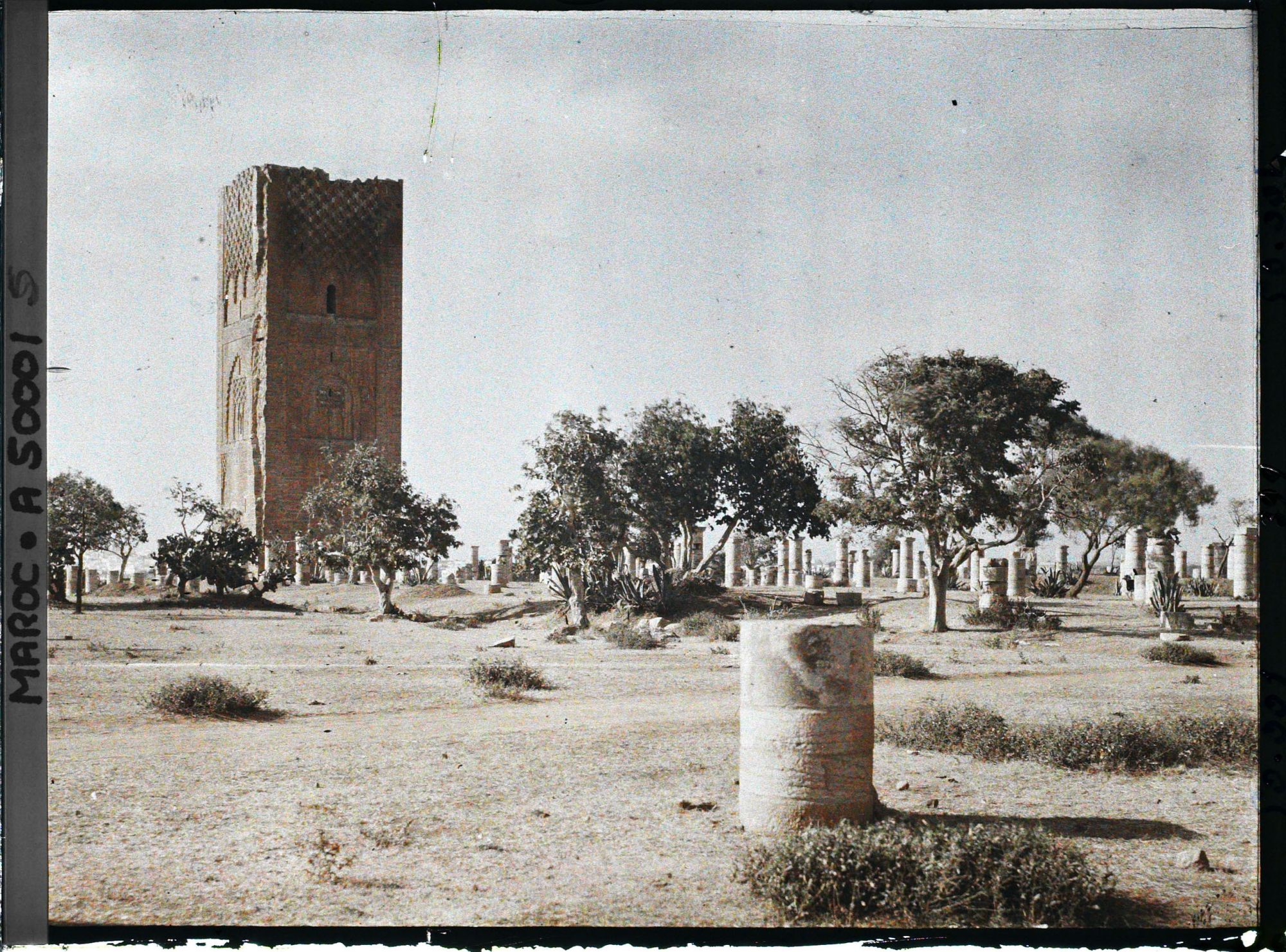 Image représentant La tour Hassan