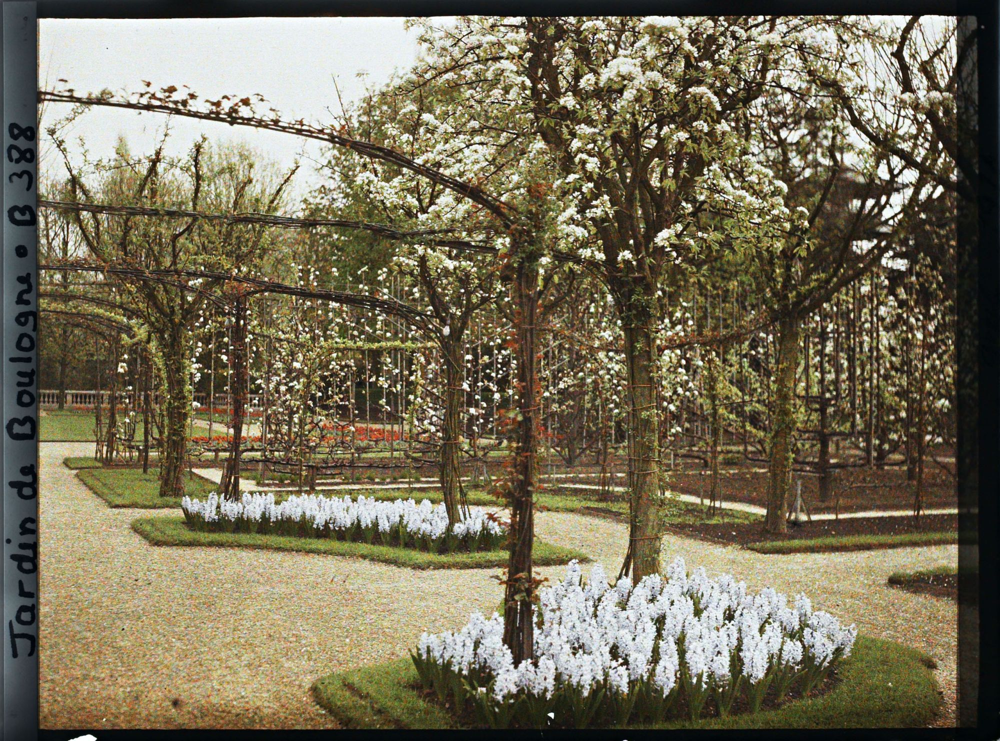 Image représentant Partie sud-est du verger-roseraie, vue depuis le rond-point fleuri proche du jardin français
