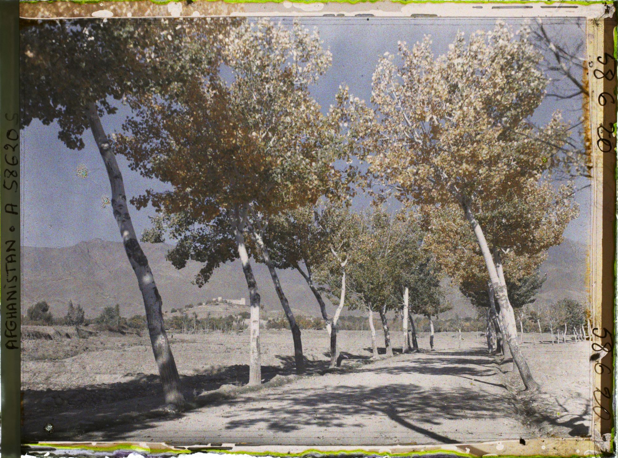 Image représentant IF951_A058620.jpg