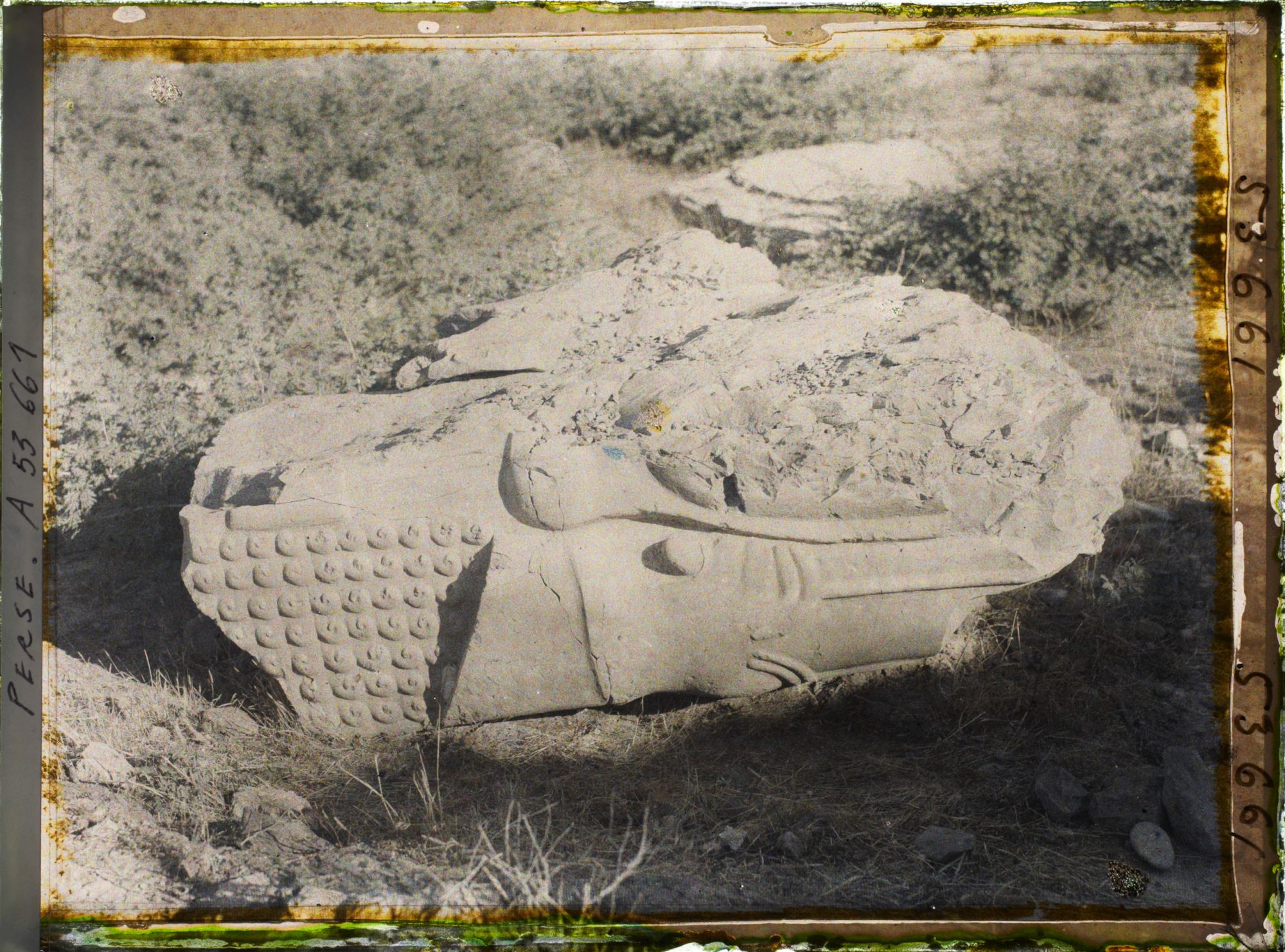Image représentant Fragment sculpté de colonne ou de bas-relief