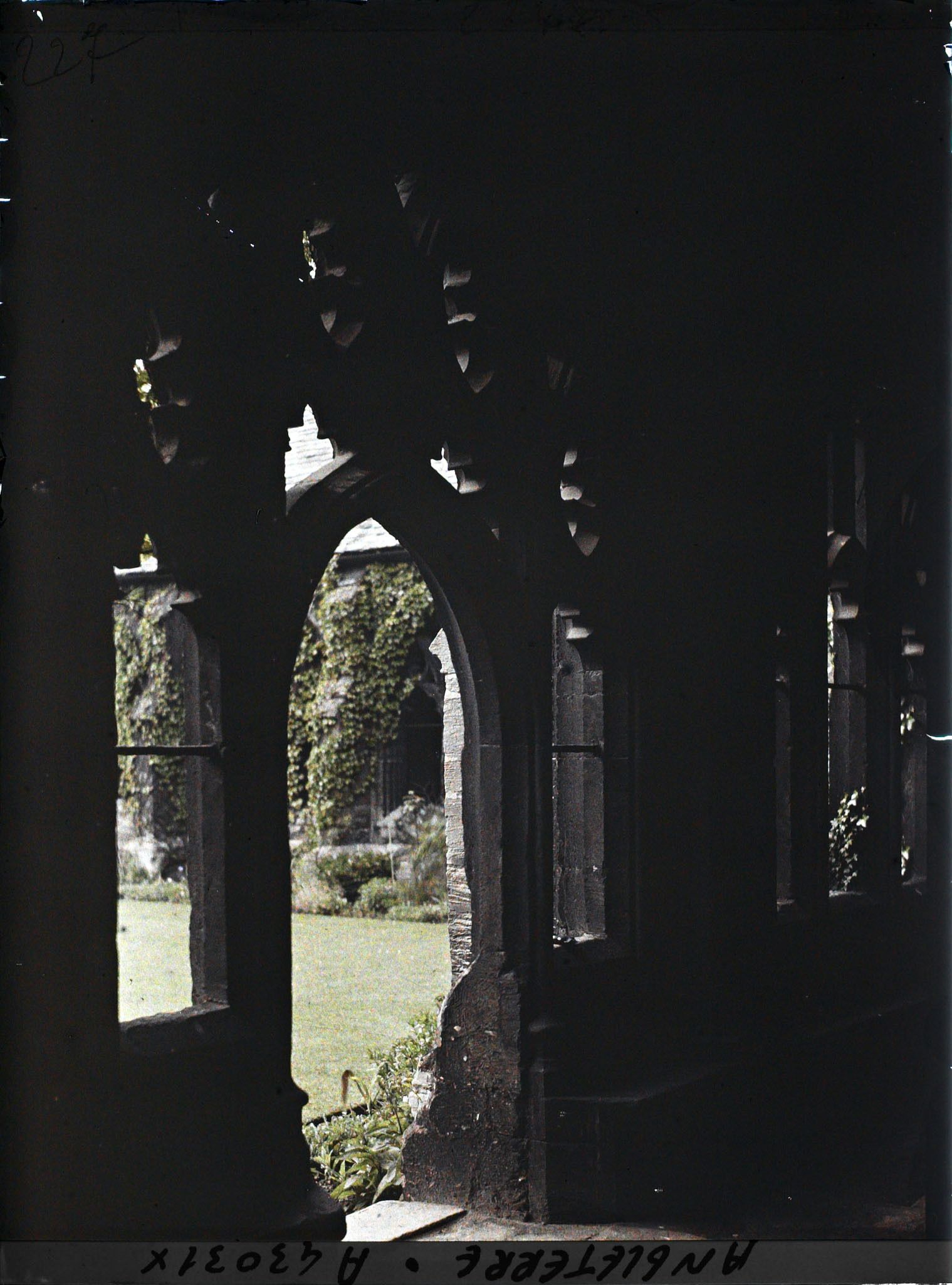 Image représentant Le cloître du New College