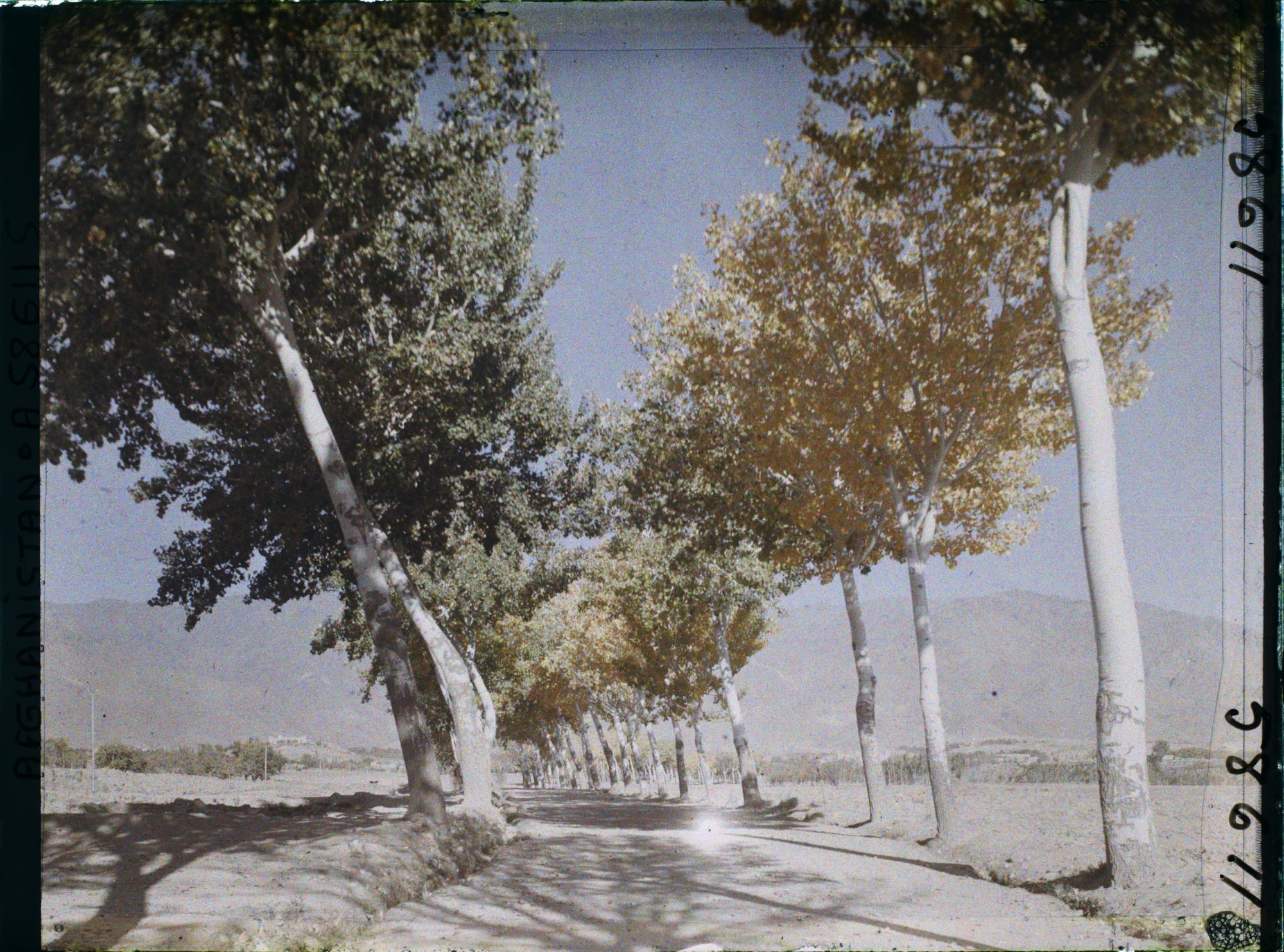 Image représentant Afghanistan, Kaboul, La route de Paghman Kaboul, effet d'automne