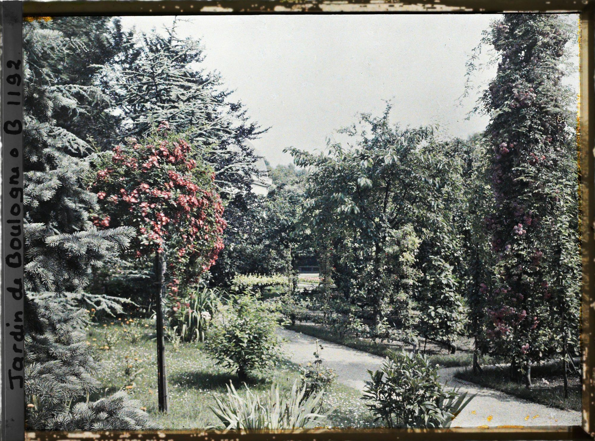 Image représentant Le verger roseraie vu depuis la forêt bleue