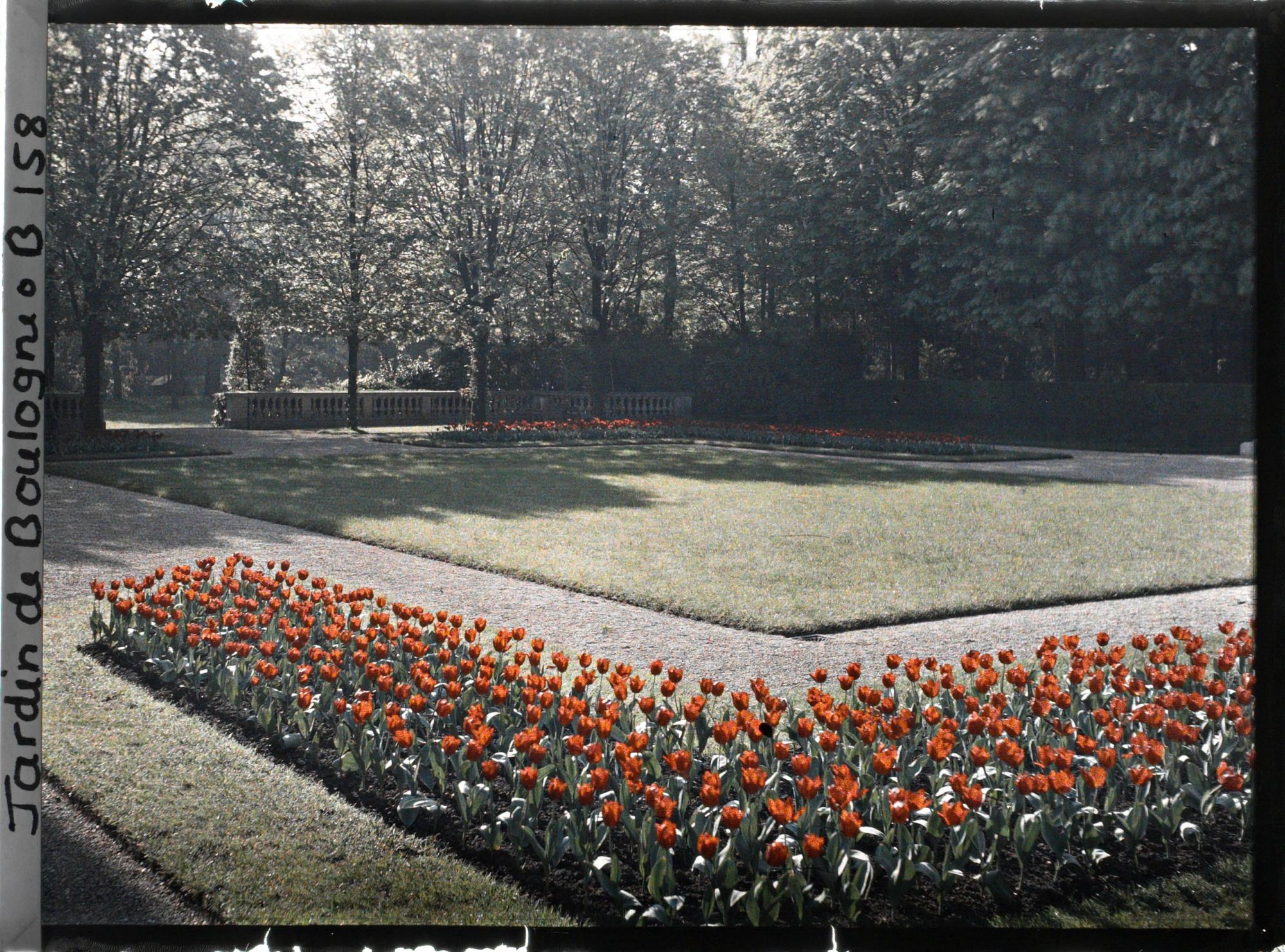 Image représentant Le jardin français vu depuis l'angle du parterre nord-ouest