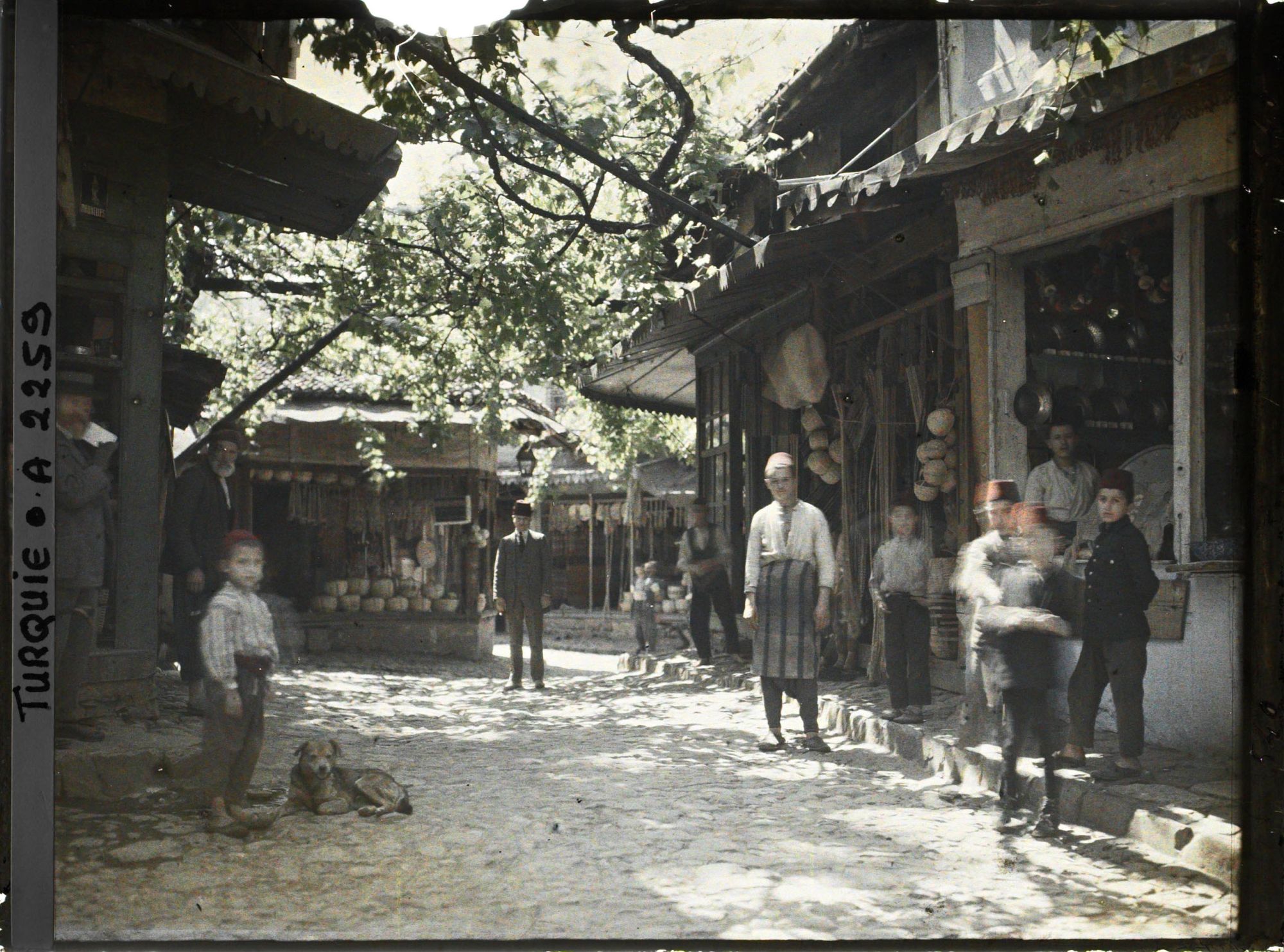 Image représentant Partie du bazar consacrée à la vannerie et à la corderie dans une rue couverte de vignes en treille