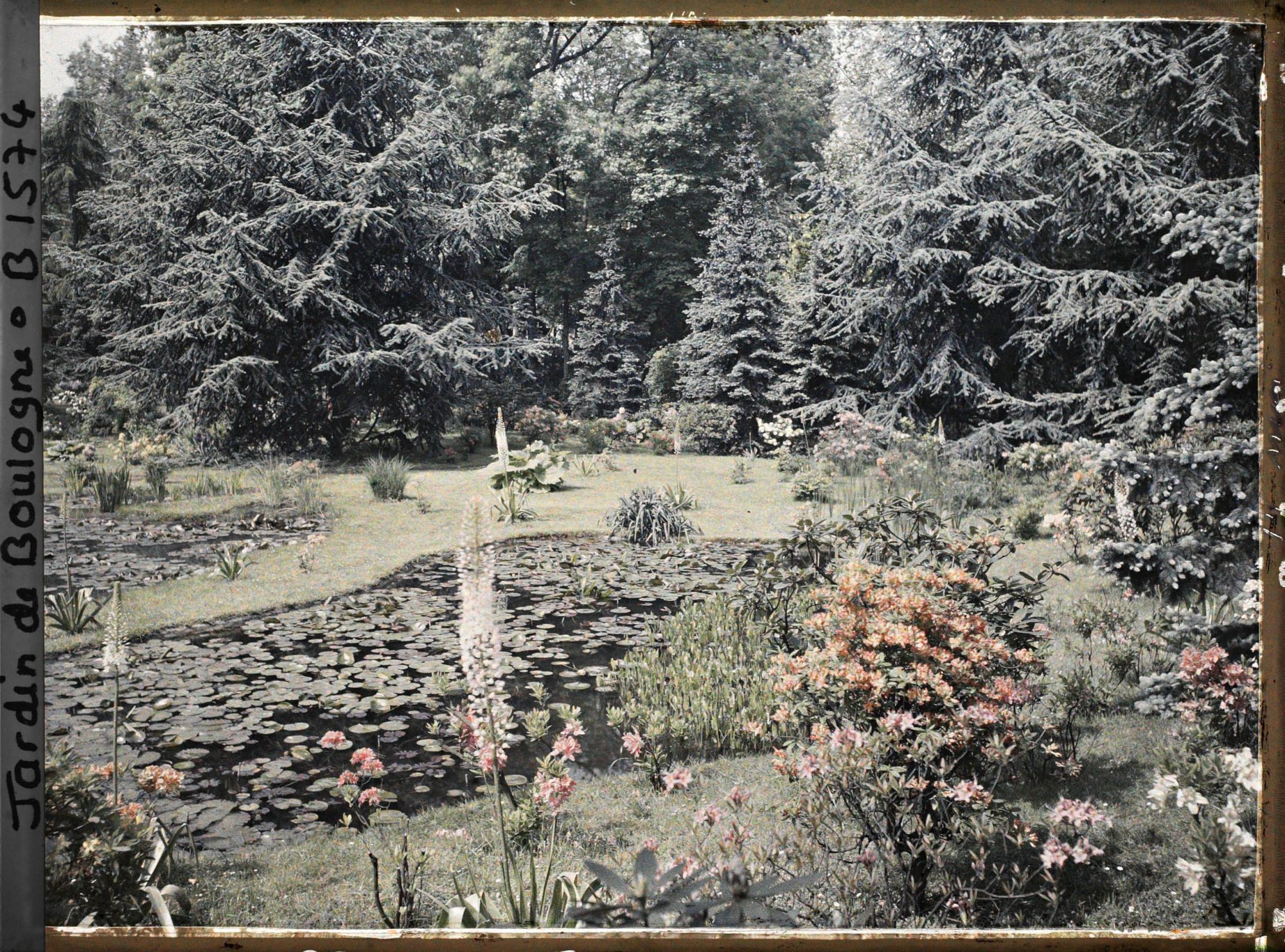 Image représentant Les étangs du marais