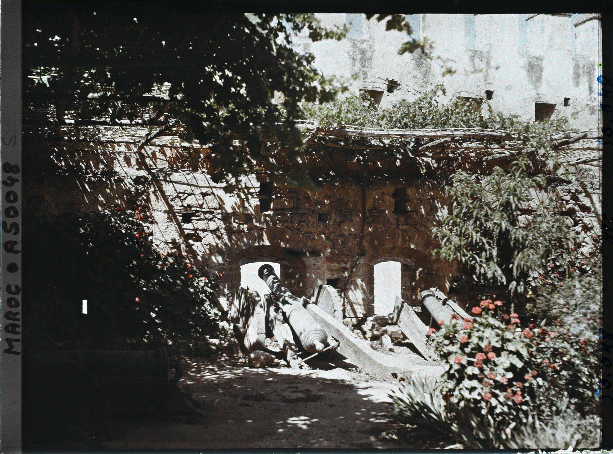 Image représentant Canons espagnols sur un bastion de la casbah des Oudaïa