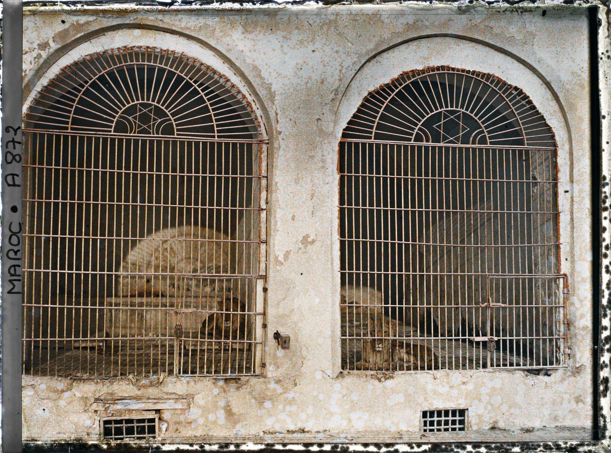 Image représentant Deux cages à fauves de la ménagerie du sultan à Dar el Makhzen (Palais el Makhzen)