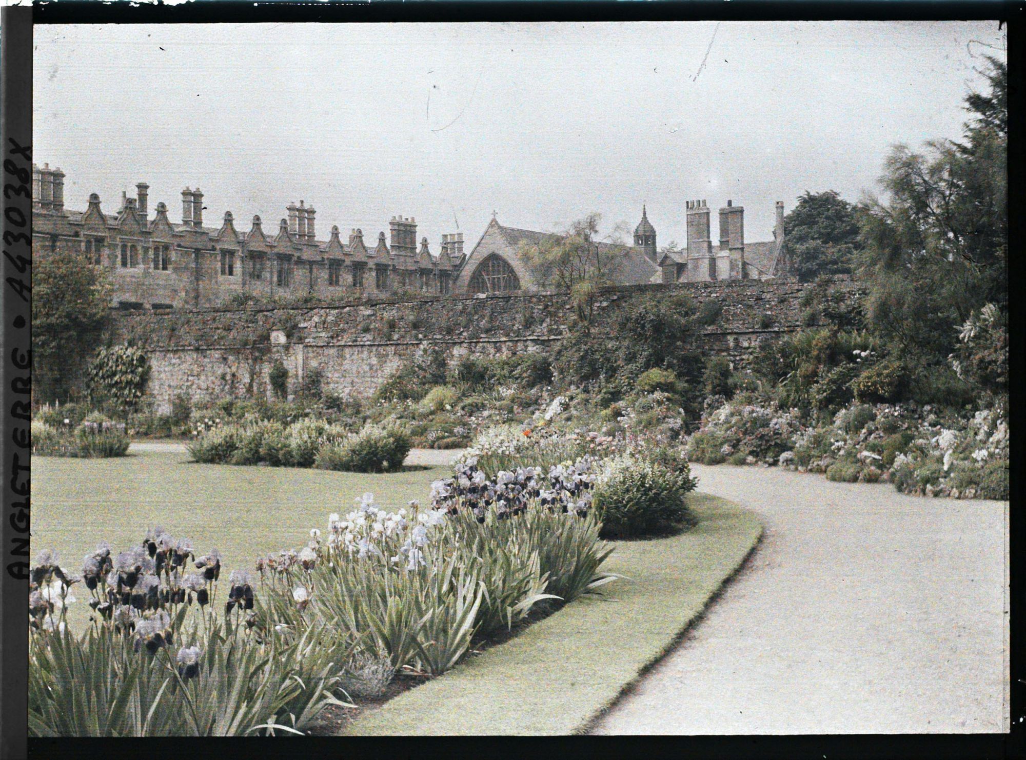 Image représentant Vue du Jardin du Saint John's College