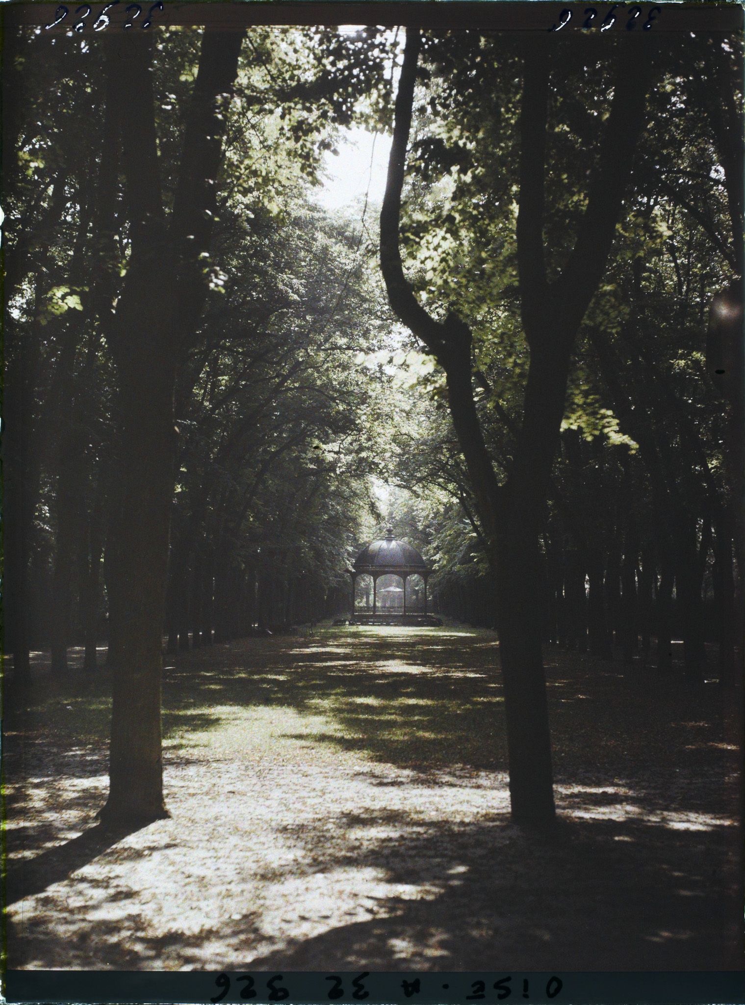 Image représentant France, Compiègne, Allée du Kiosque à musique