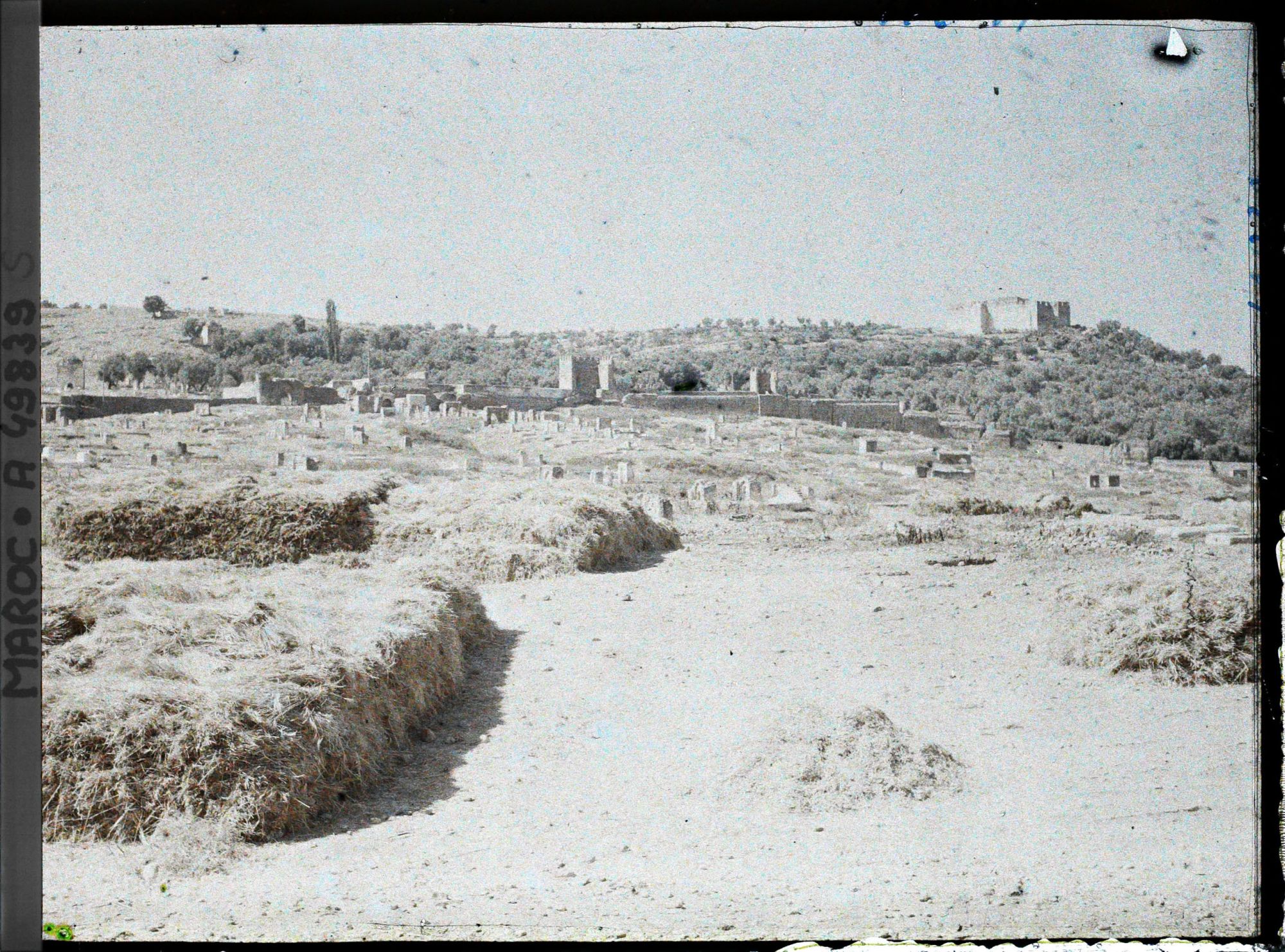 Image représentant Le Bordj sud et le cimetière de Bâb Ftouh