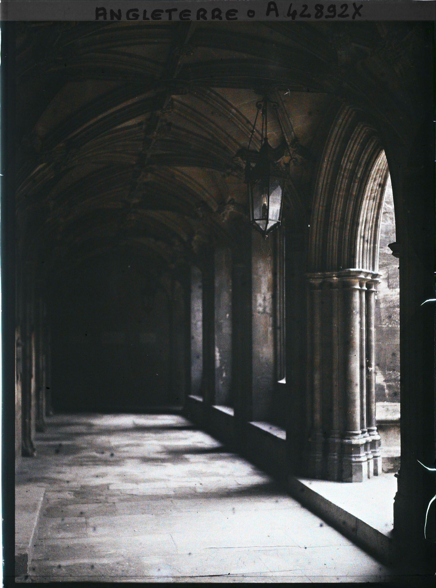 Image représentant Allée sud du cloître de Christ Church