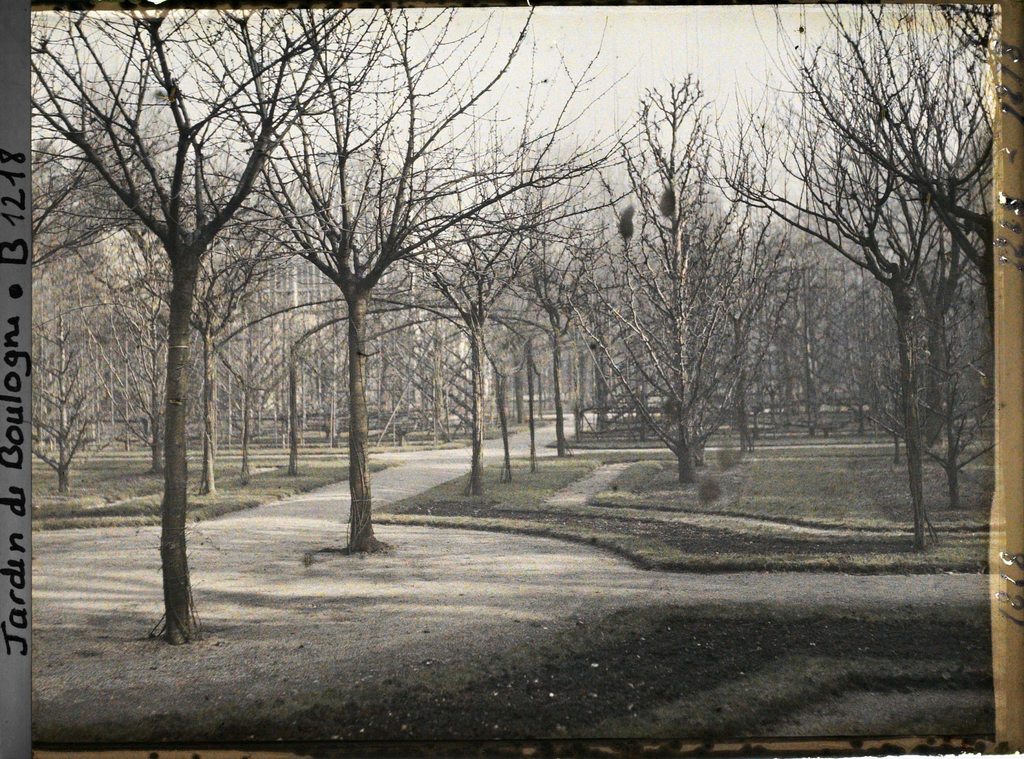 Image représentant Coin du verger-roseraie, vu depuis un parterre sud-ouest du rond-point proche de la dépendance