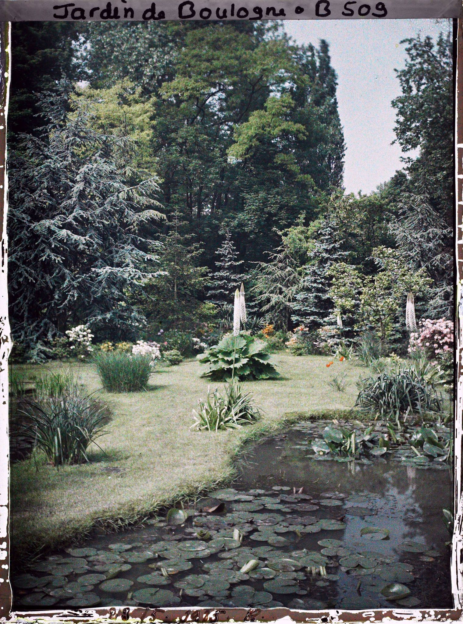Image représentant " Étang " nord du marais, vu en direction du nord-ouest